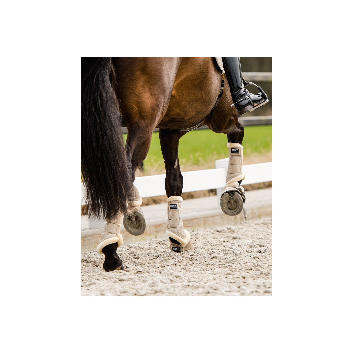 Gamaschen Proficient Jubilee ATB24001