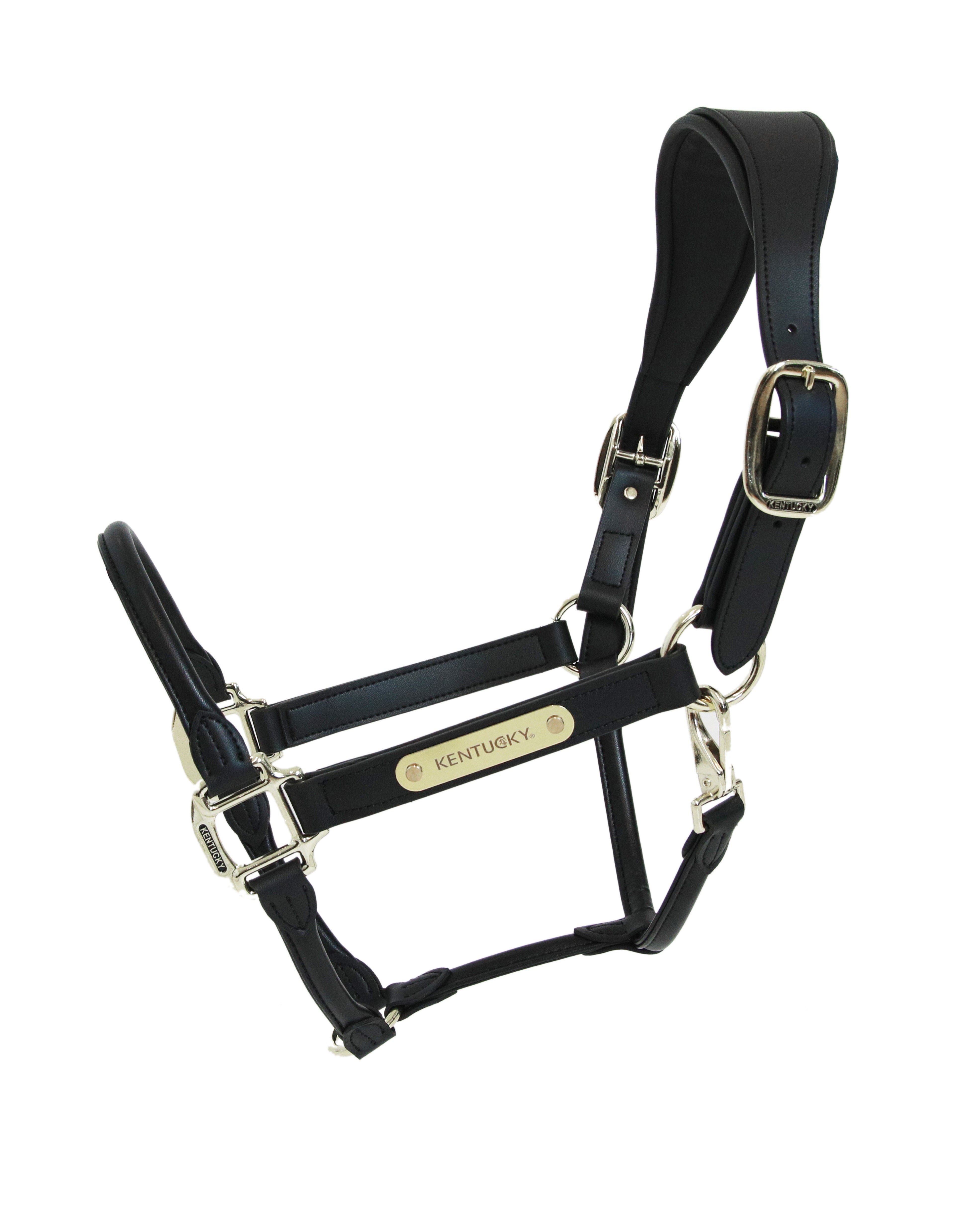 Halter Anatomical Leather