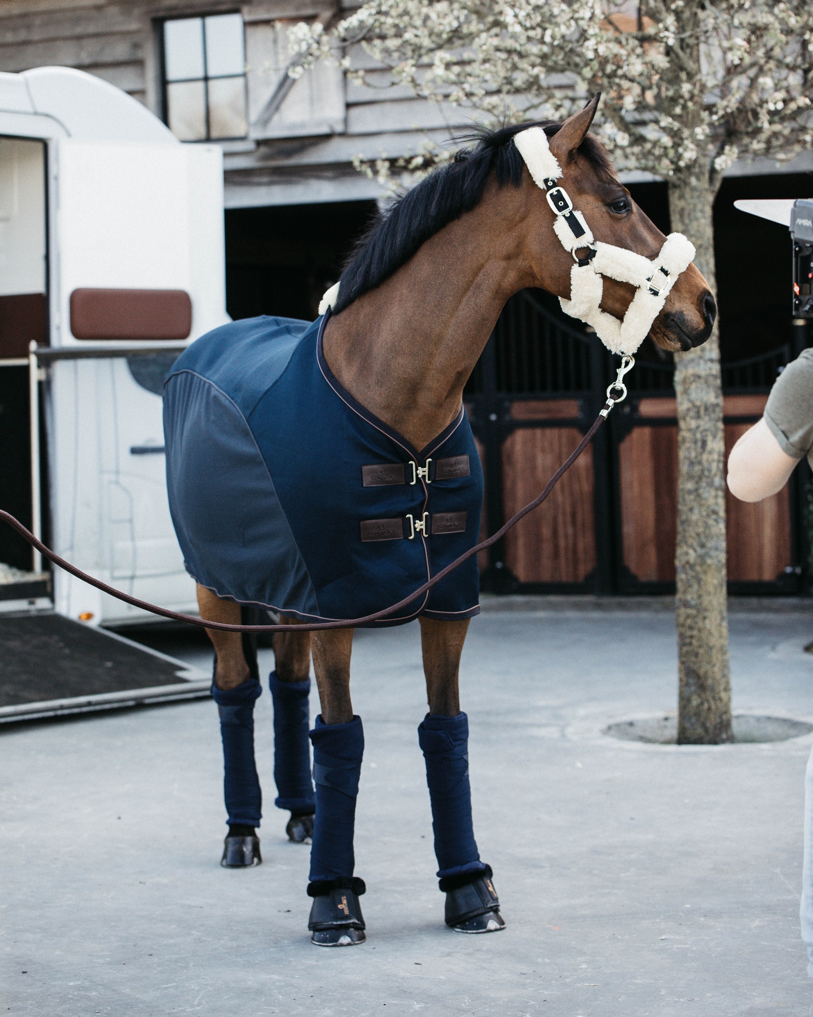 Fly rug fly combi