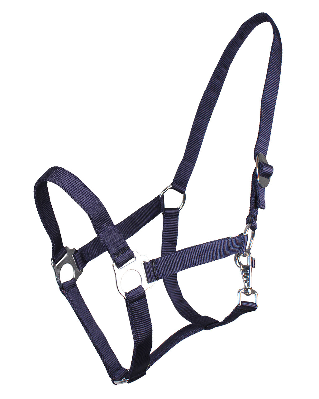 Halter with sliding buckle