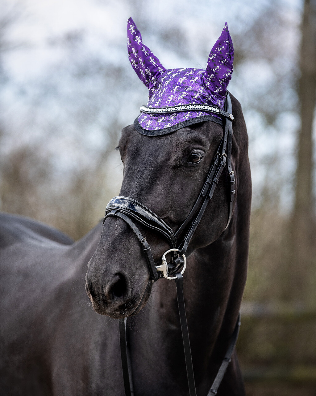 Halloween fly ears