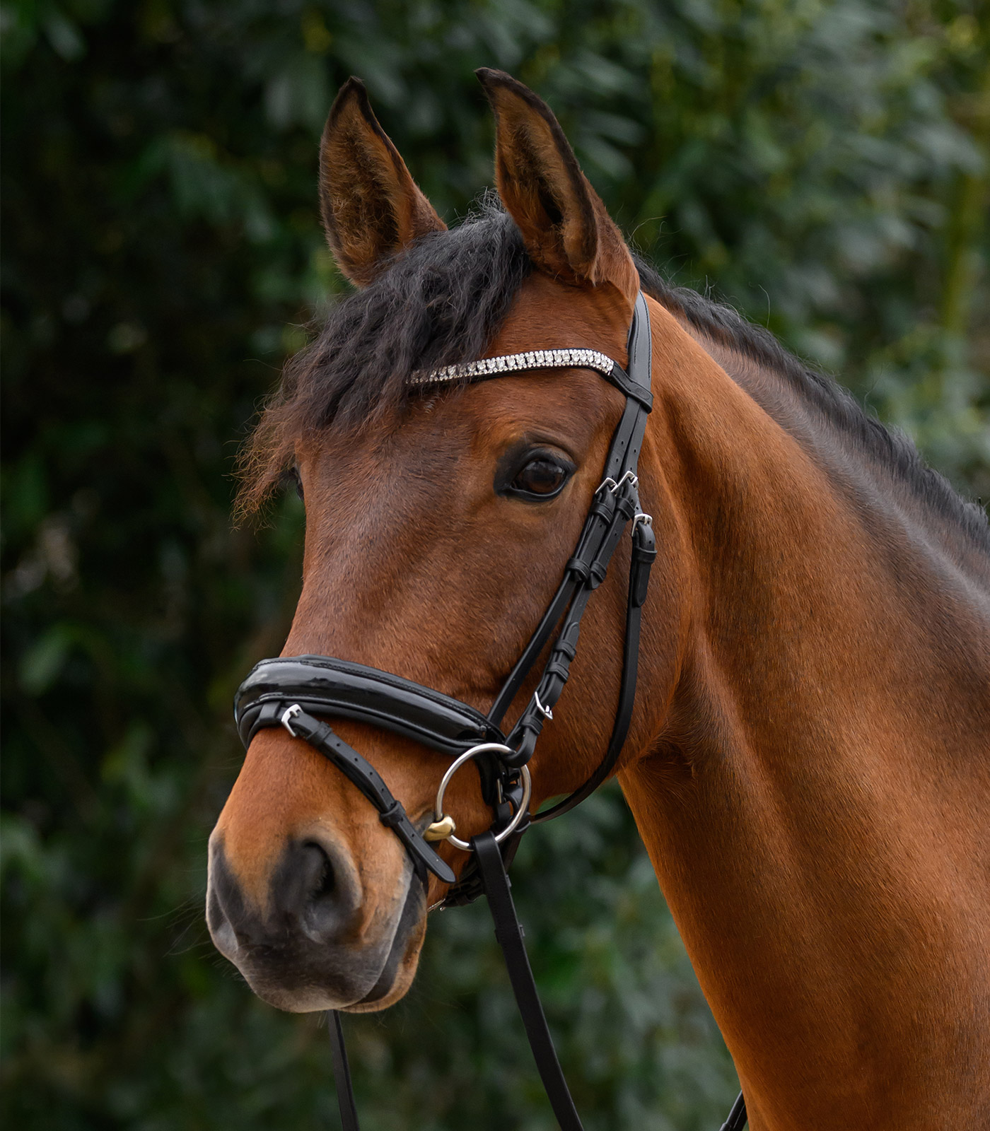 browband Glitter