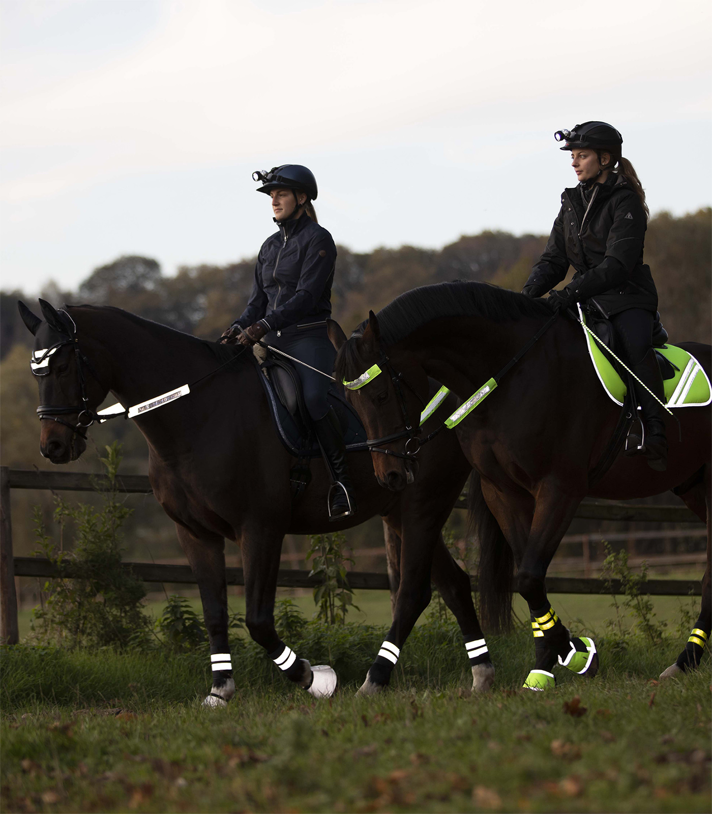Reflex snaffle bridle set