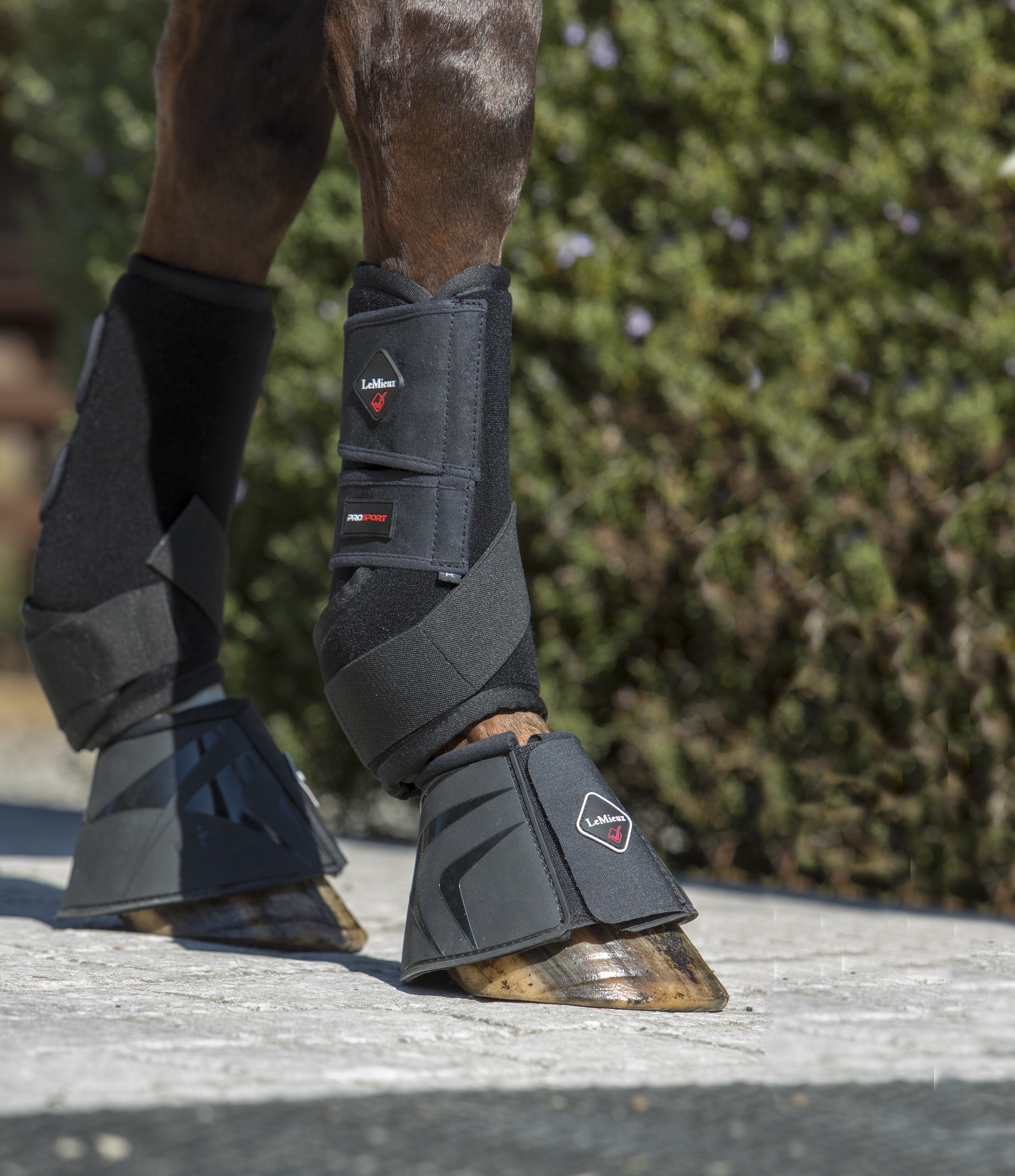 Ultra Support horse boots