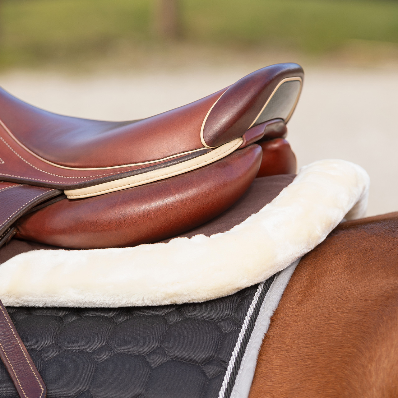 Saddle Pad Memory Foam Ontario