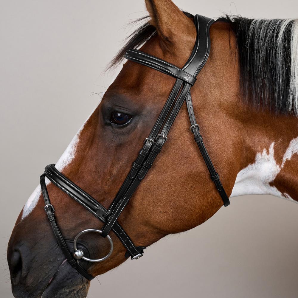 Trense mit kombiniertem Reithalfter US