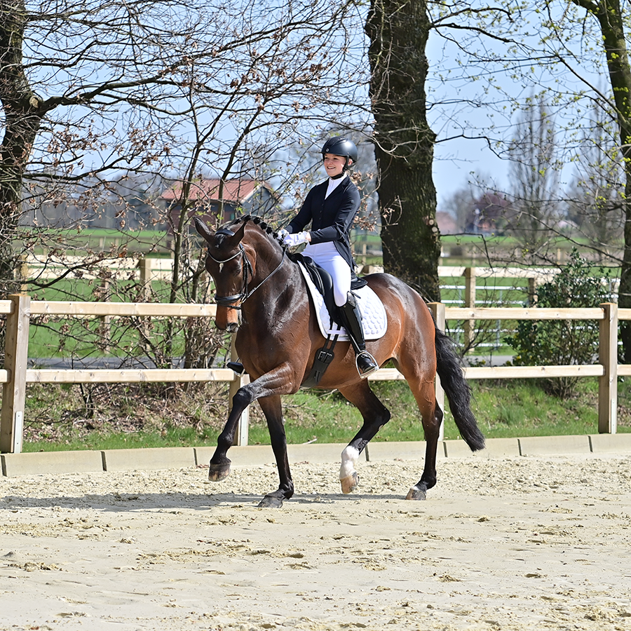 Short tailcoat Almeria
