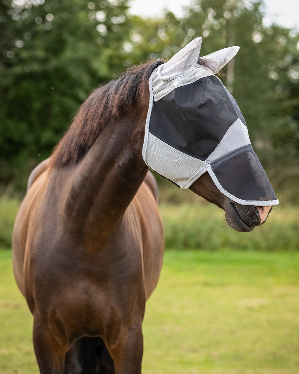 Solaire fly mask