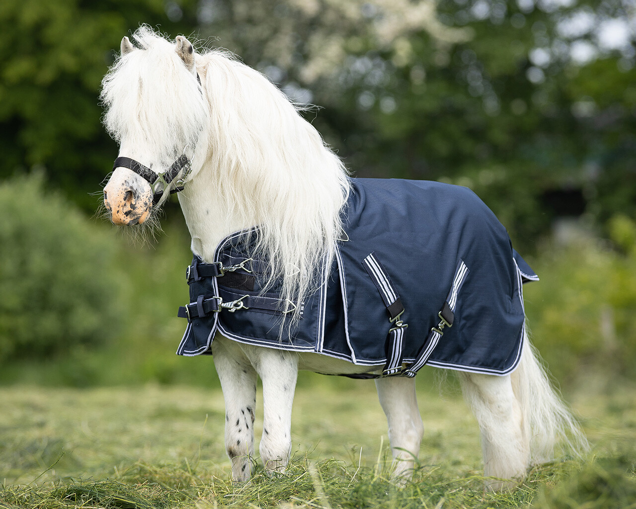 Outdoor rug Falabella turnout 200gr