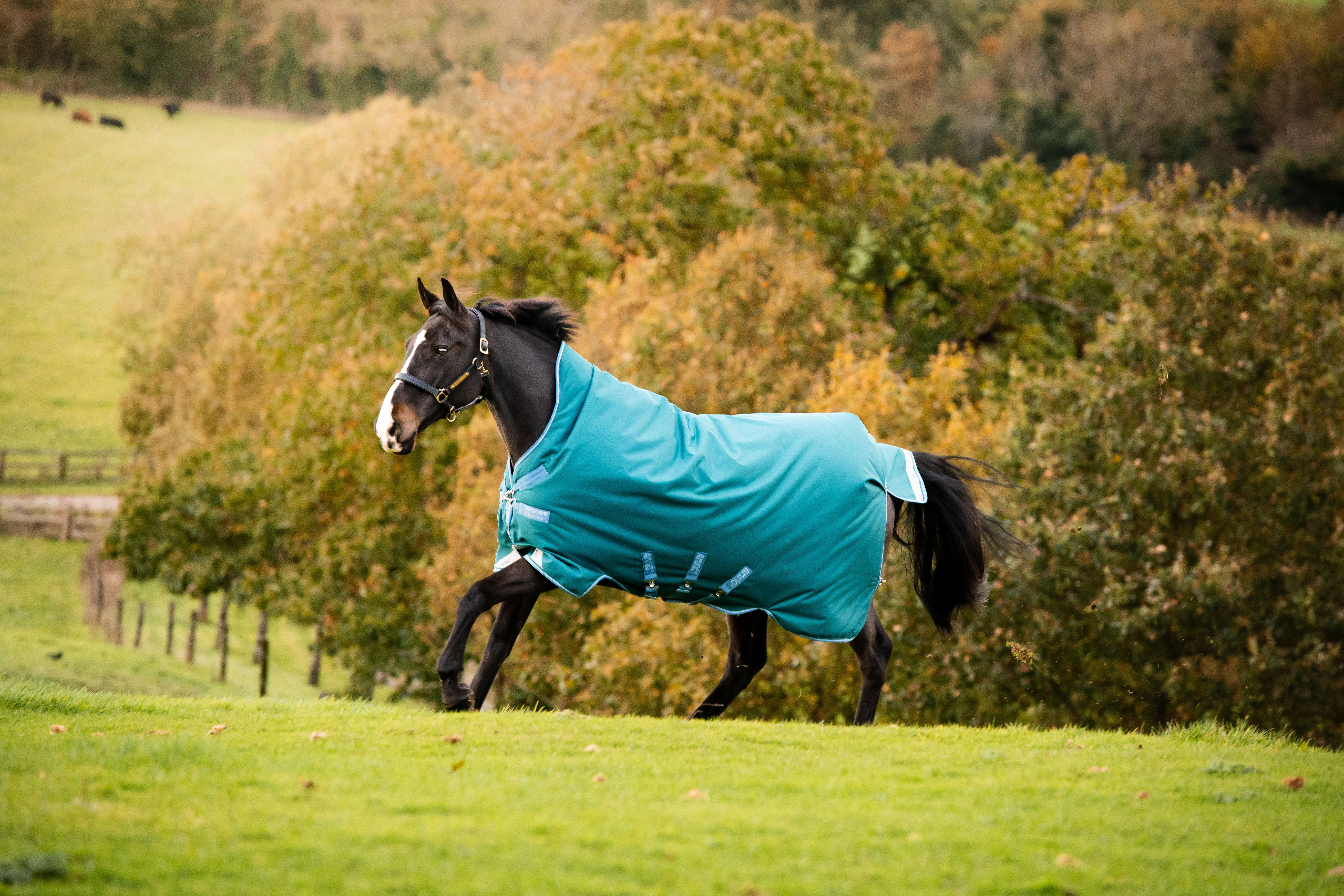 Outdoordecke Amigo Bravo 12 Wug 250g in storm green