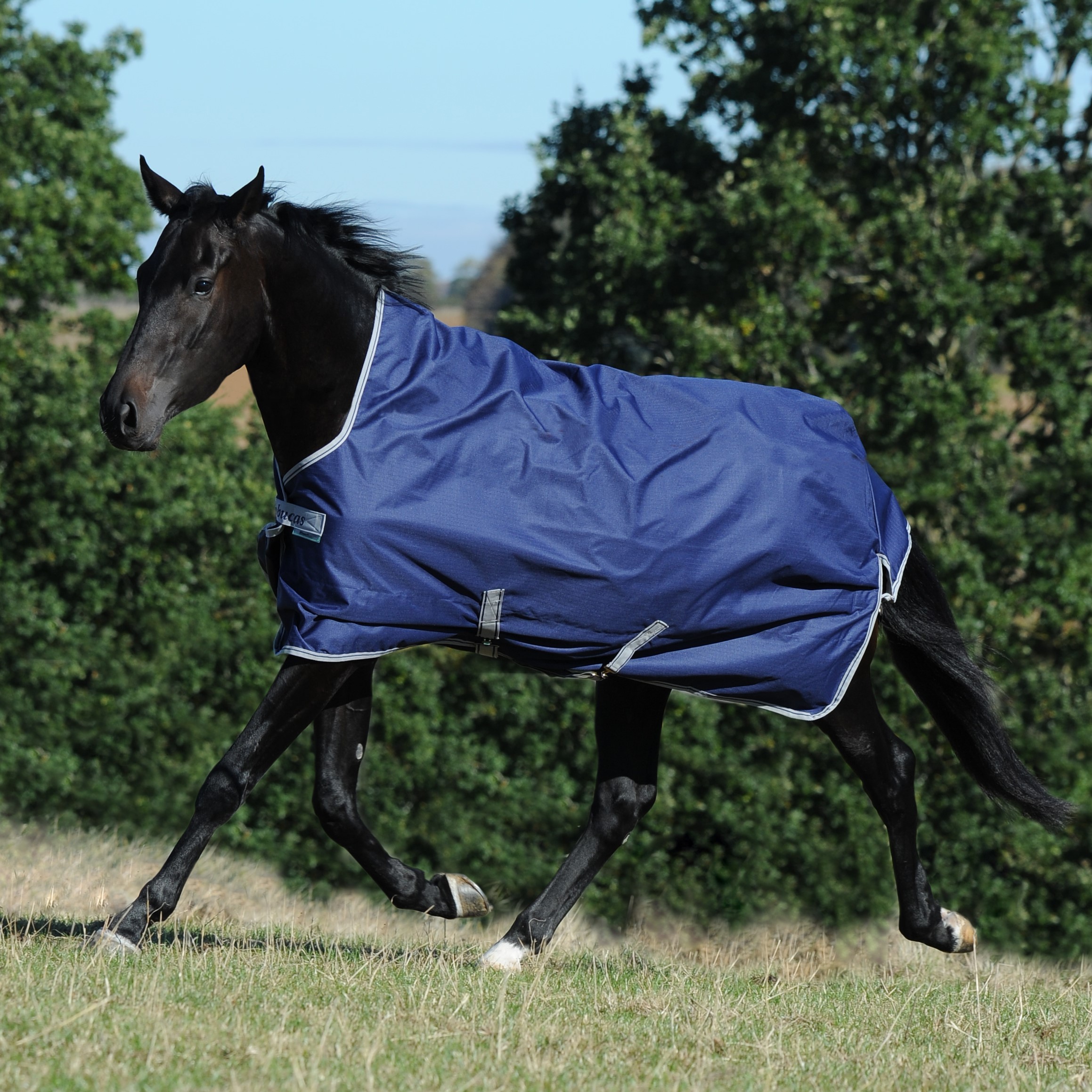 Outdoor rug Freedom High Neck 150g in Navy/Silver