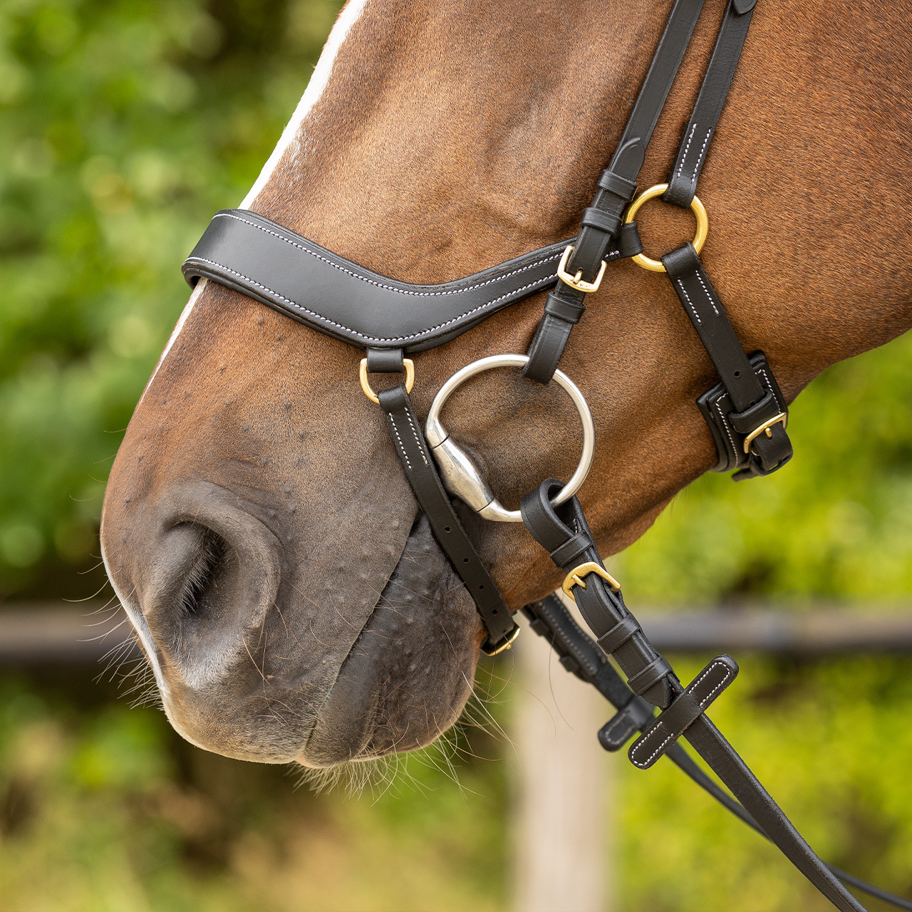Snaffle Devi