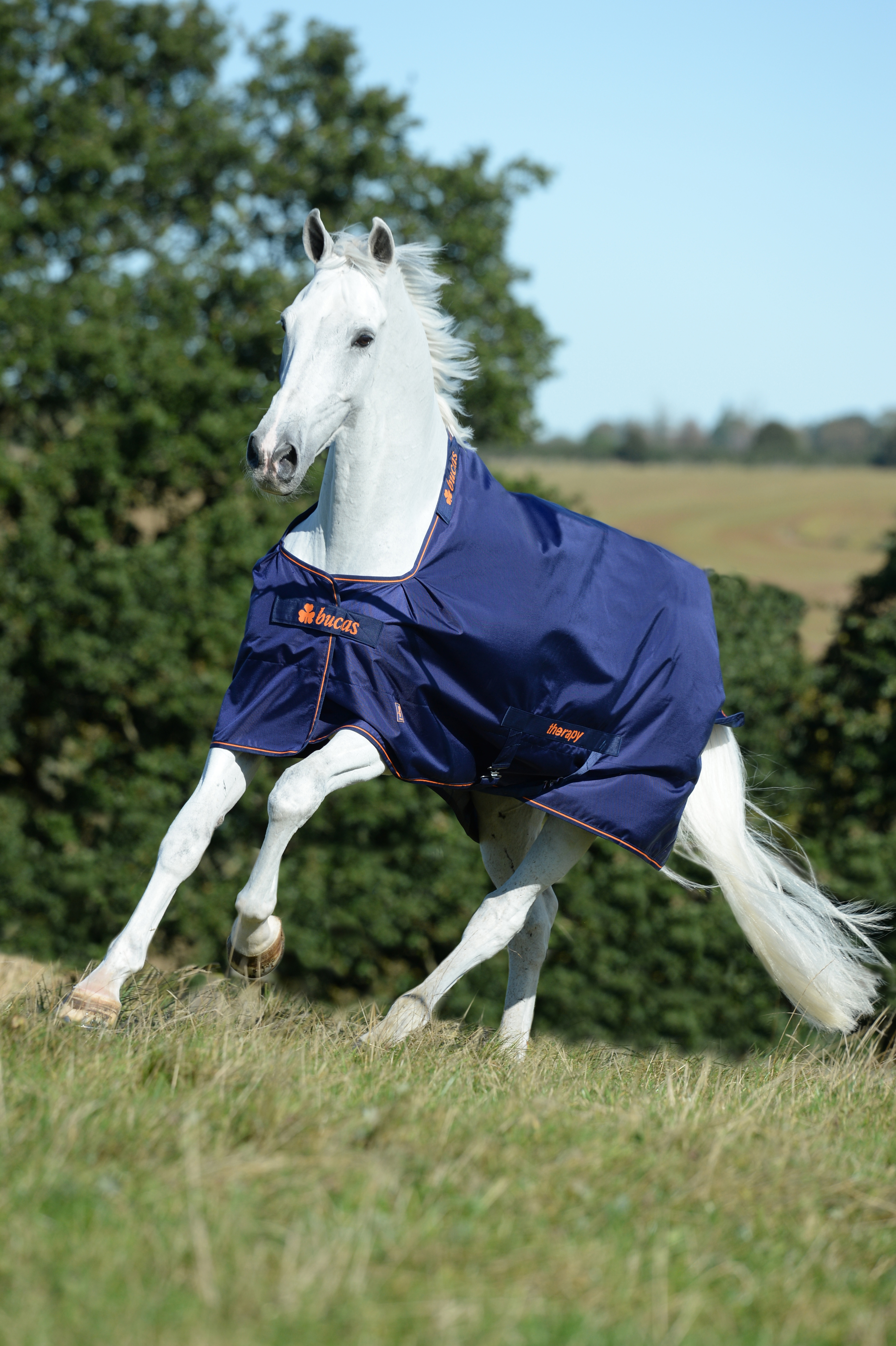 Therapy Blanket Turnout 150g in Navy/Orange