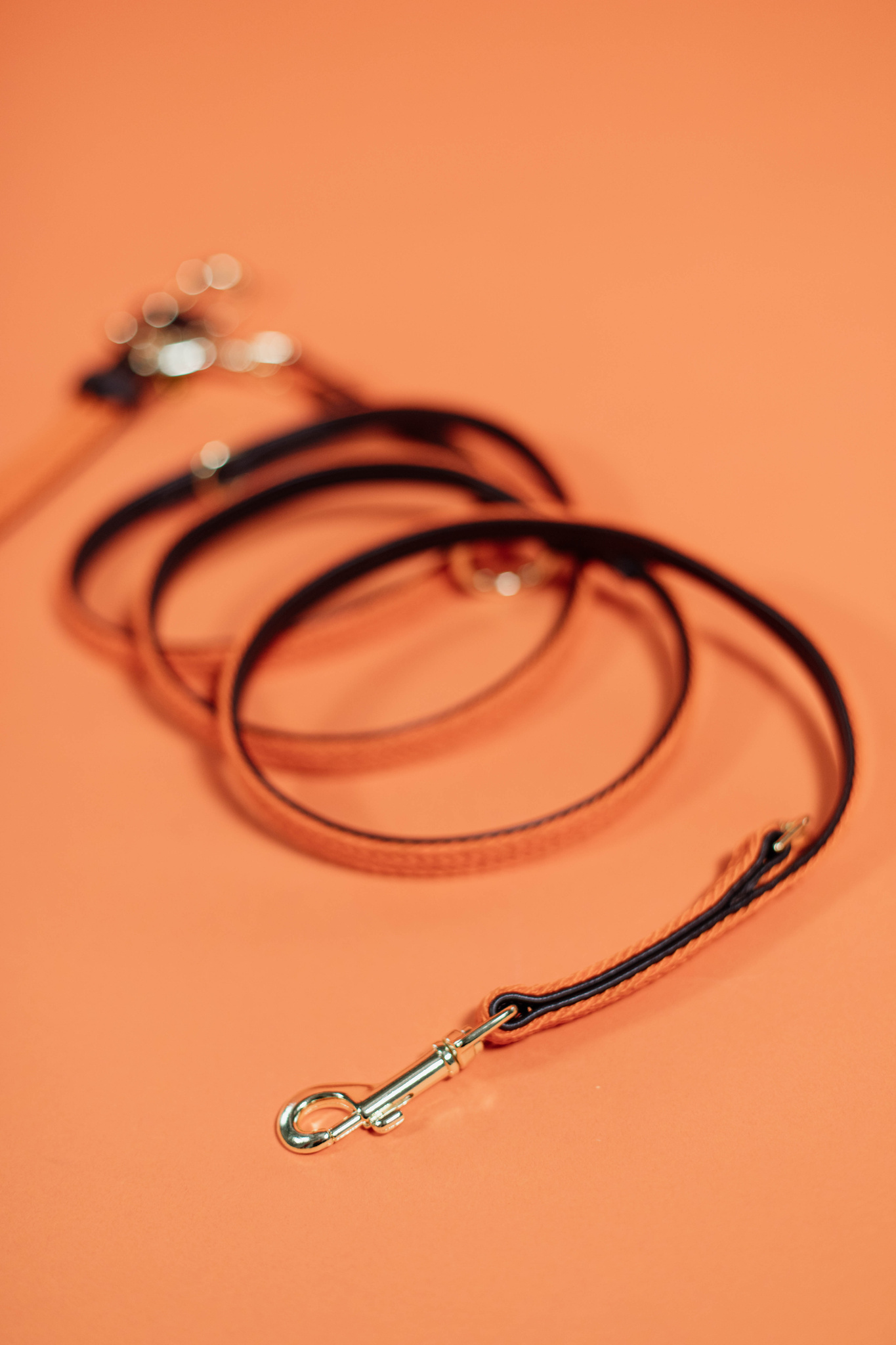 Nylon braided dog lead