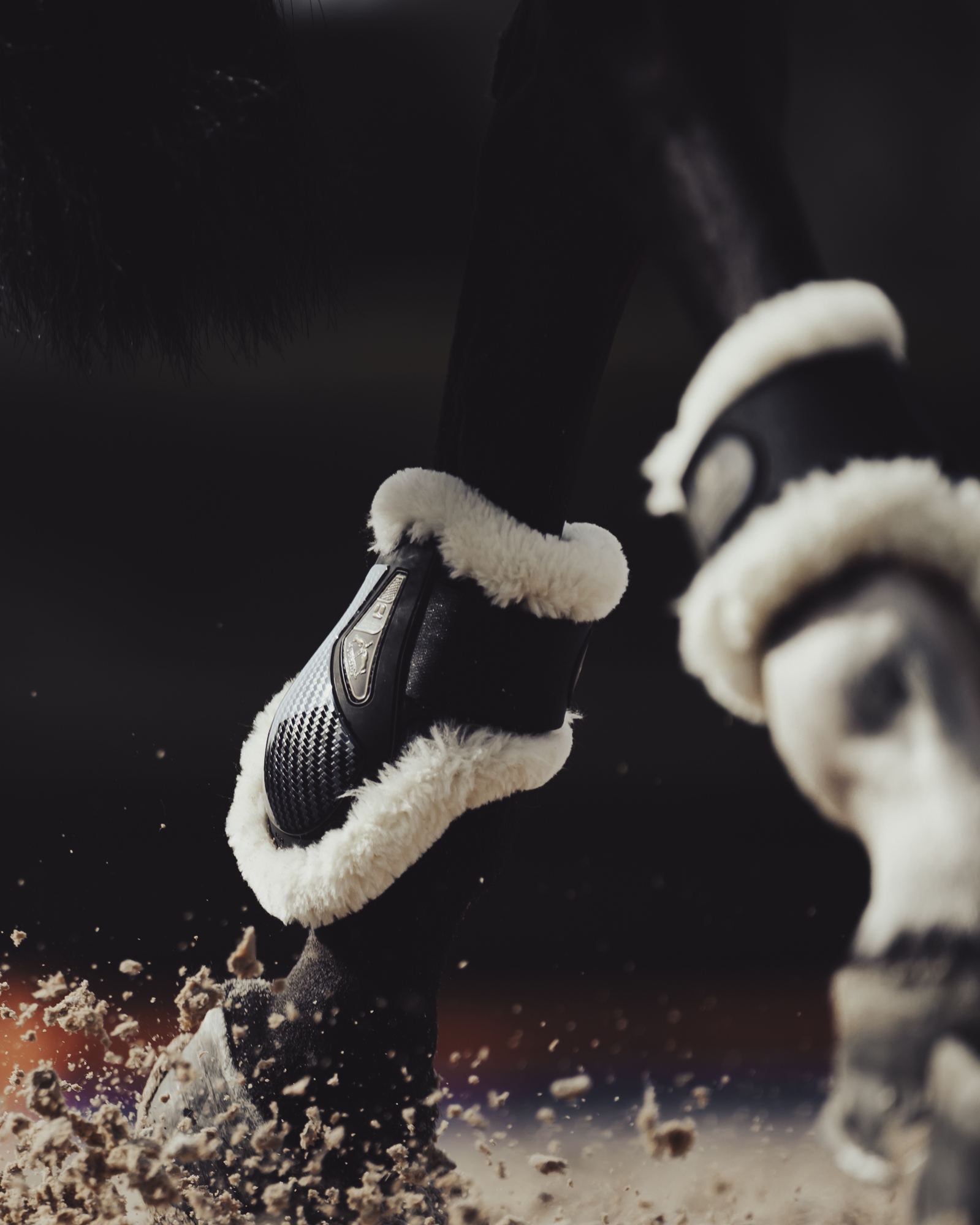 Streichkappen Young Jump Absolute Carbon Gel STS