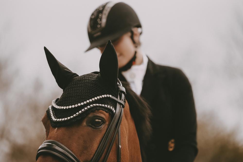 Fly ears Wellington big stone & pearl