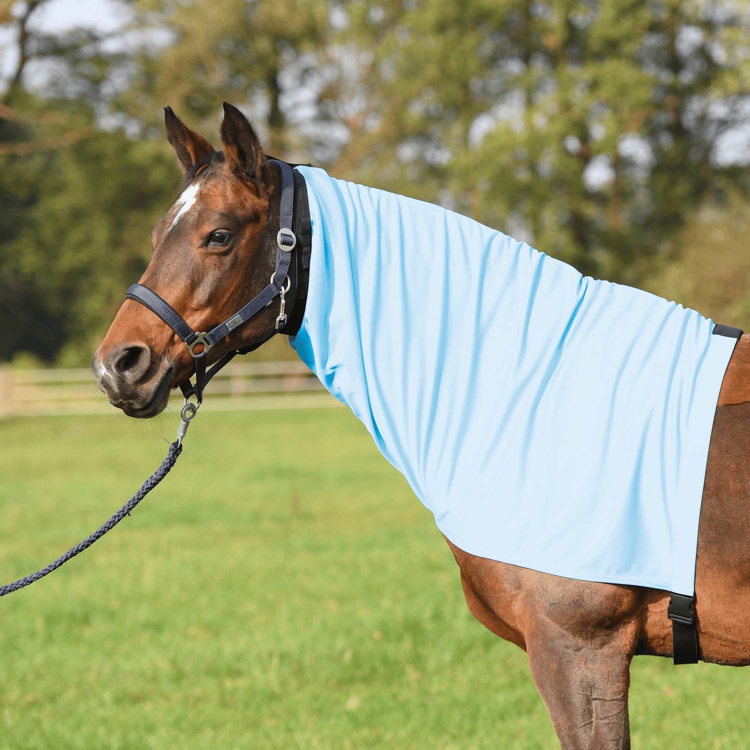 Ekzemer Halsteil Extensive