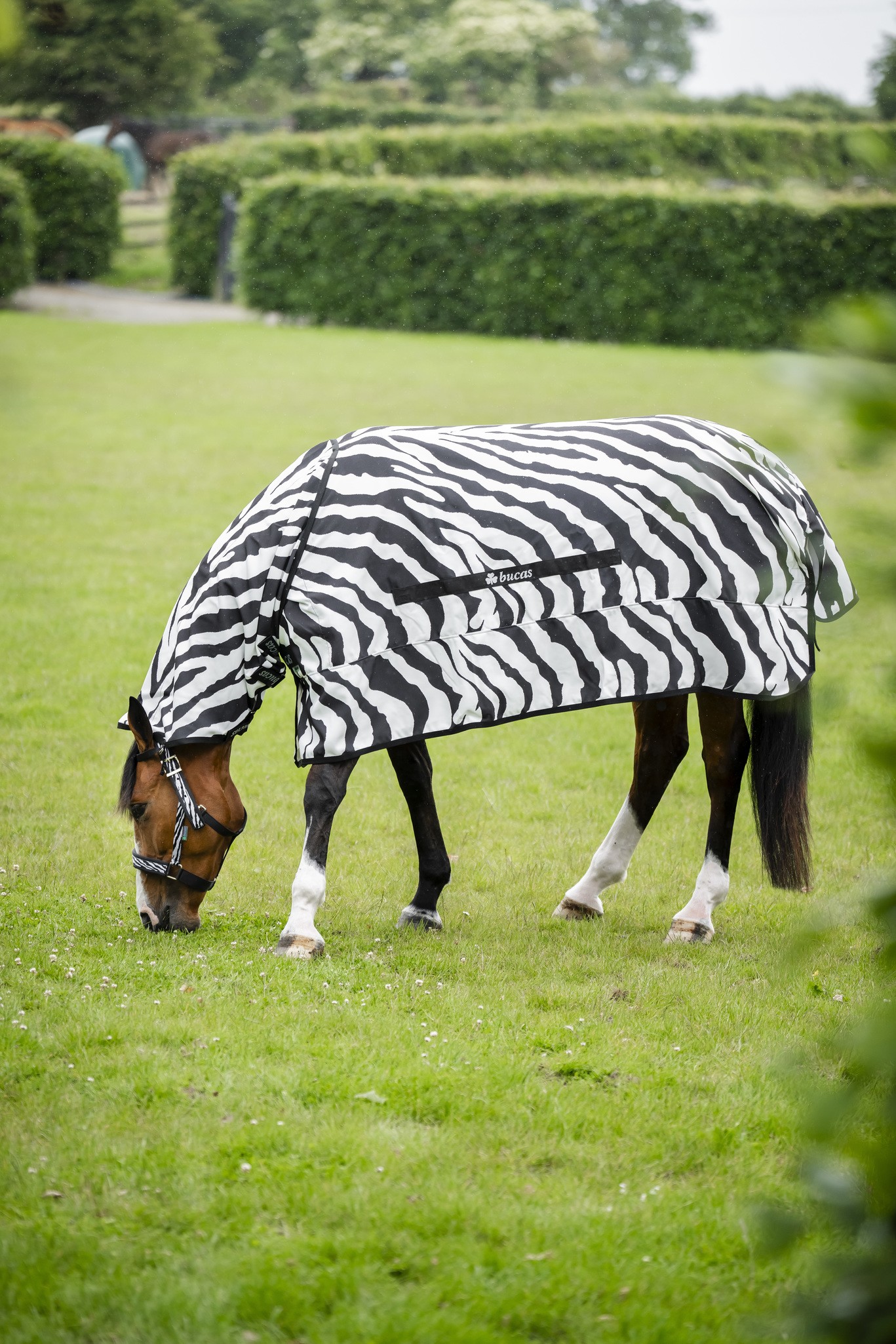 Fliegendecke Sweet Itch Rug in Zebra/Black