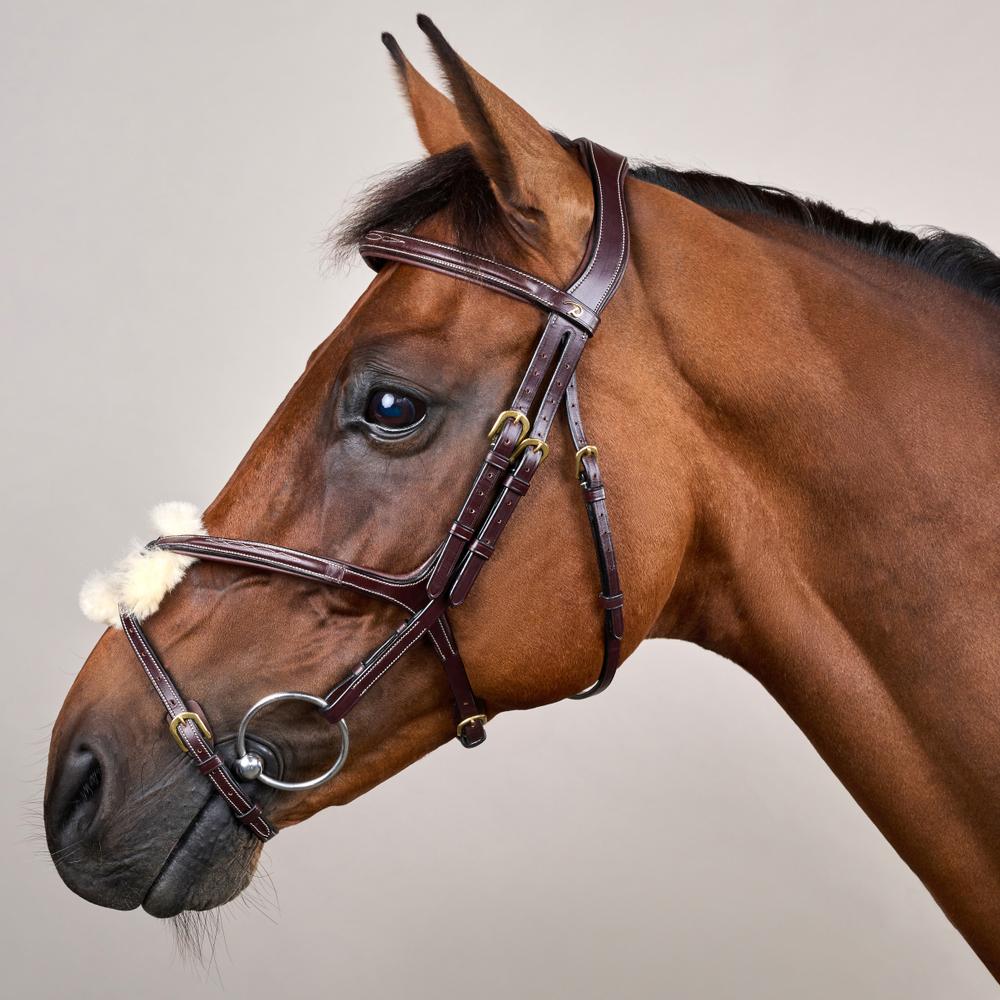 Trense mit mexikanischem Reithalfter DY | Dy'on
