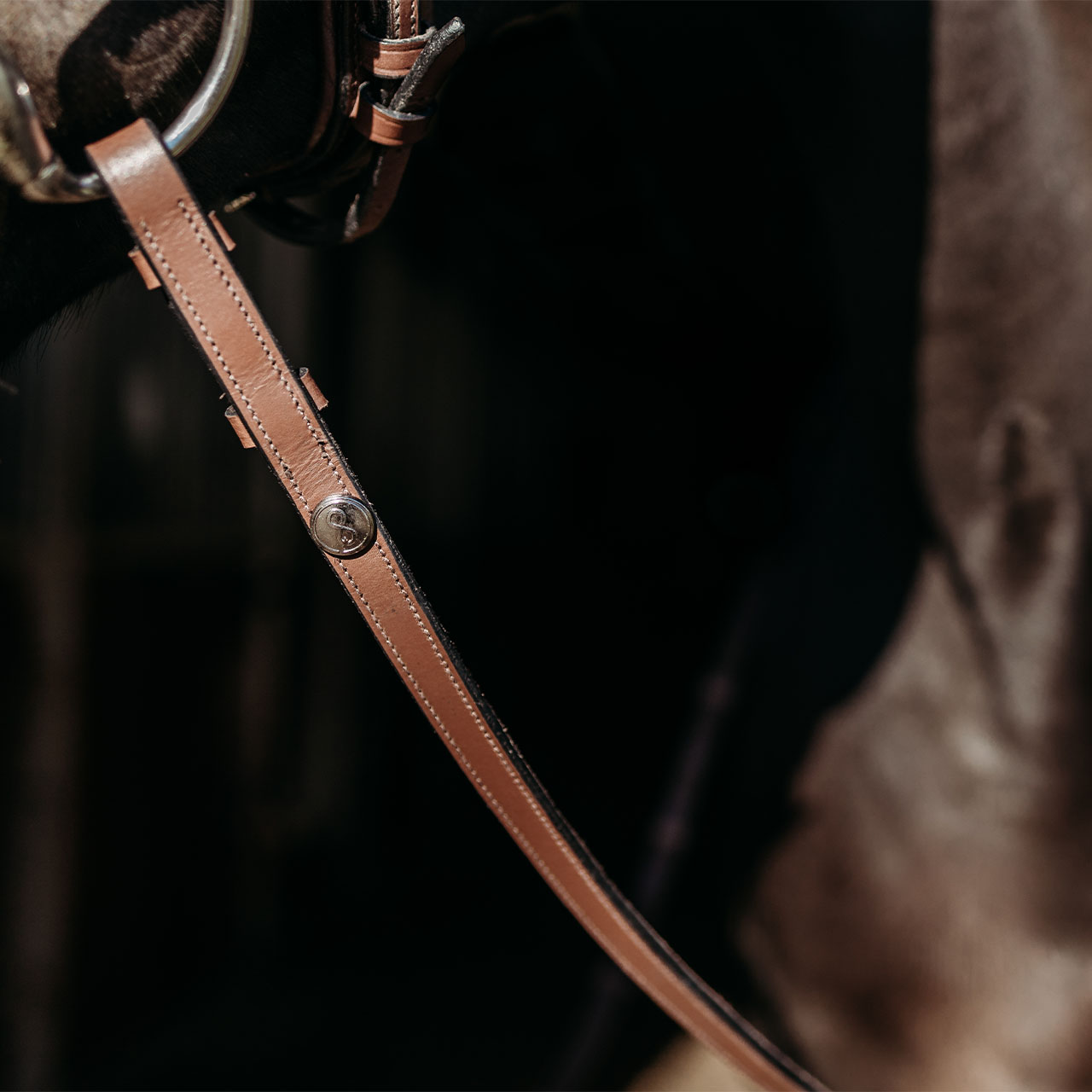 Reins FayRein with stops(8cm)
