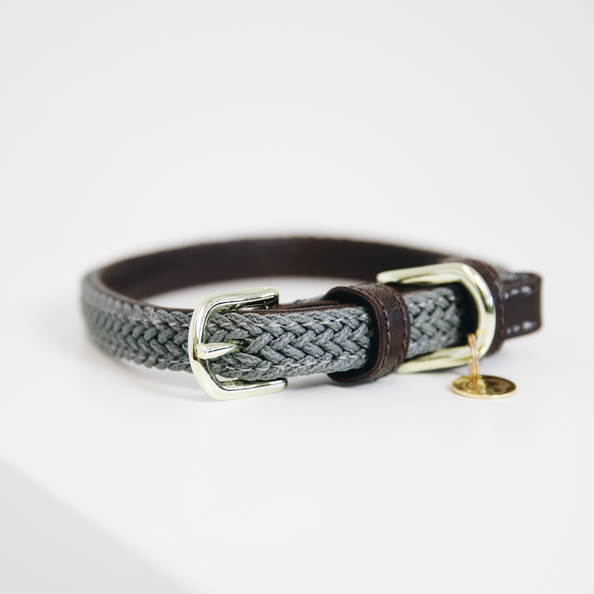 Braided nylon dog collar
