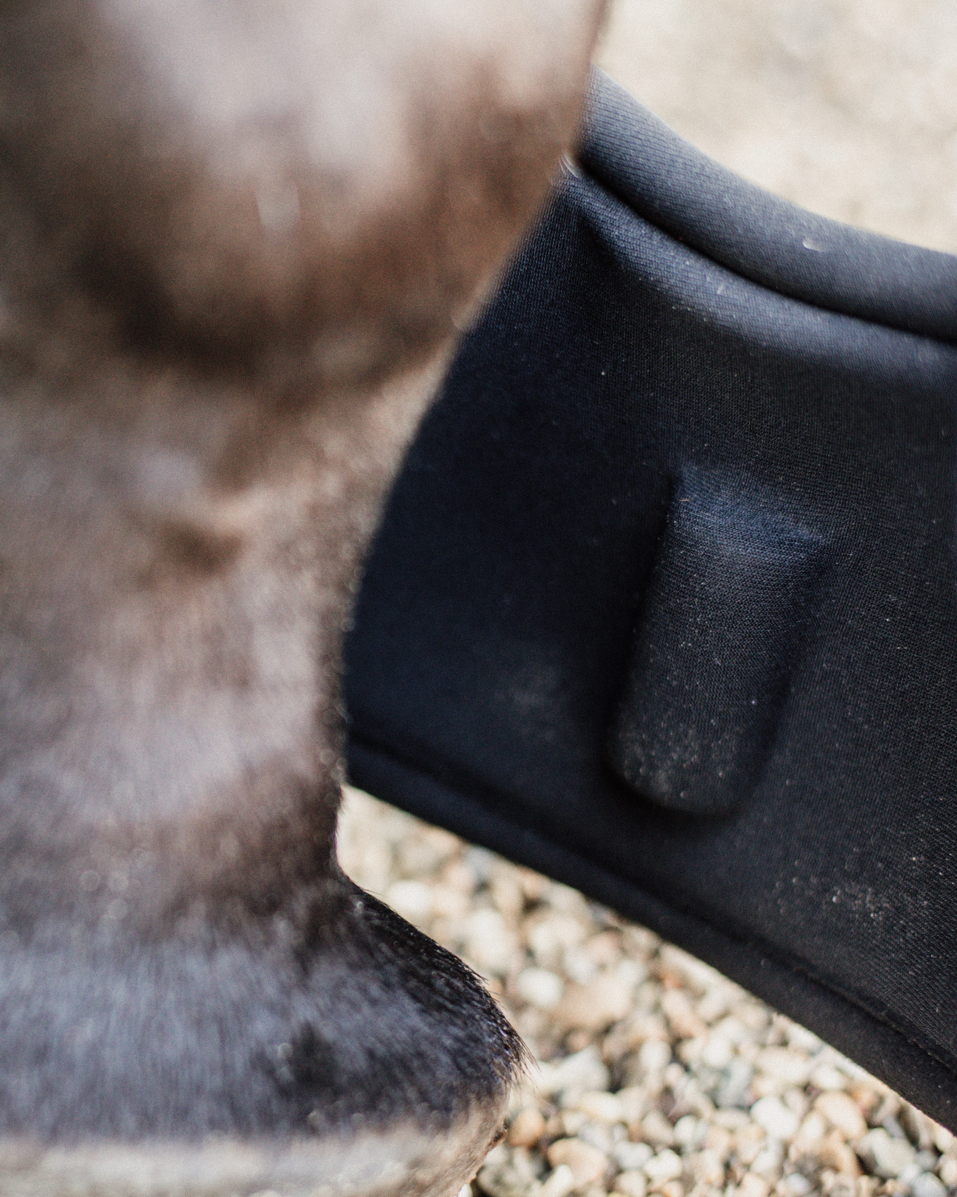 Hoof bells bunion protection