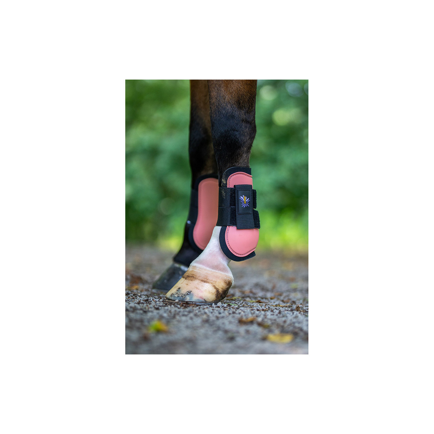 Mini Horse Sehnenschoner