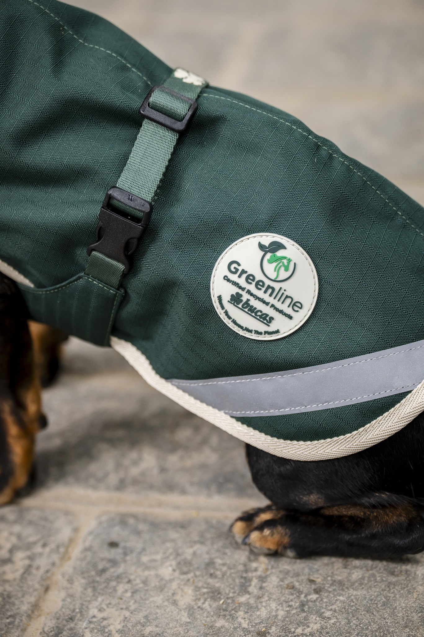 Hundedecke Greenline in Green/cream