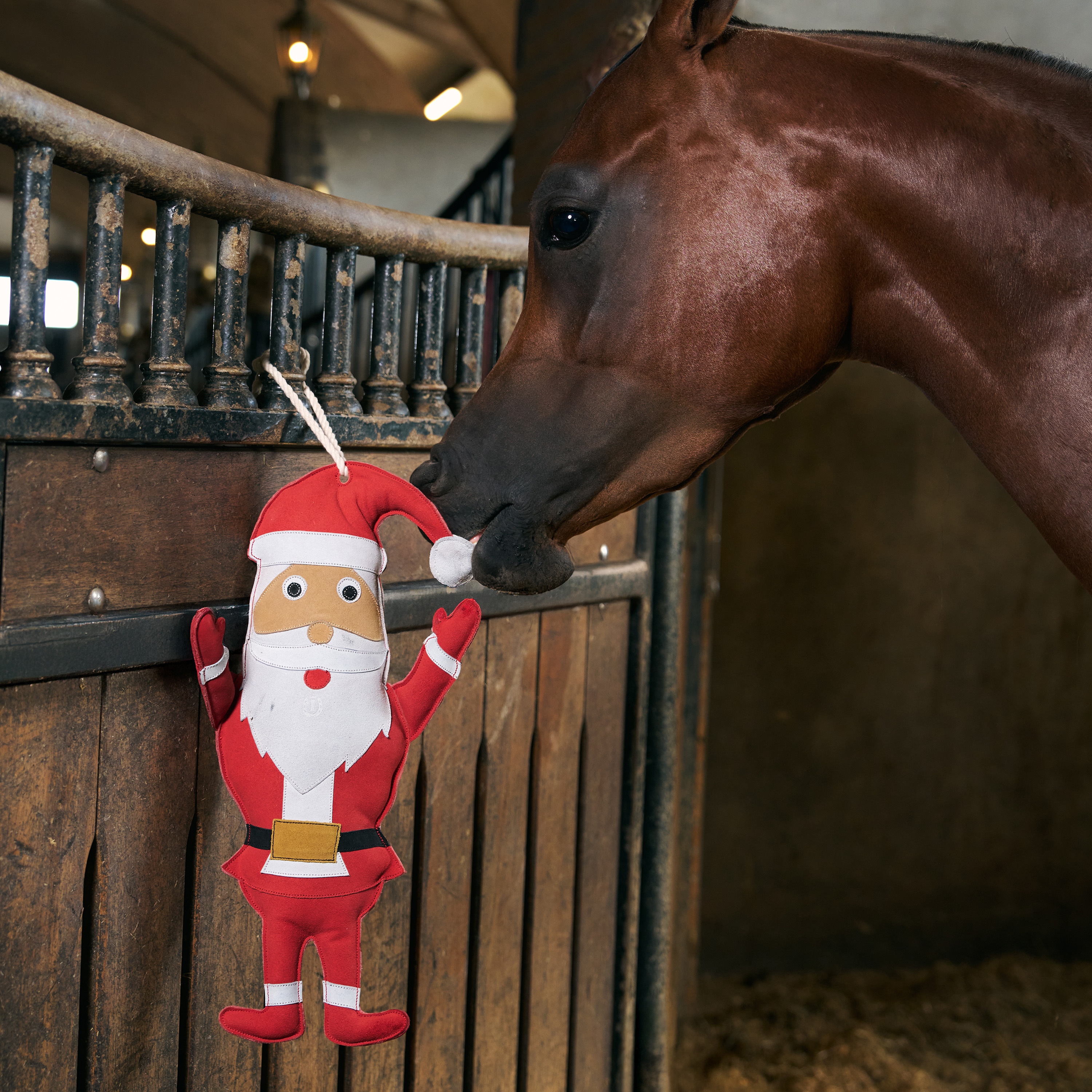 Stable buddy Santa