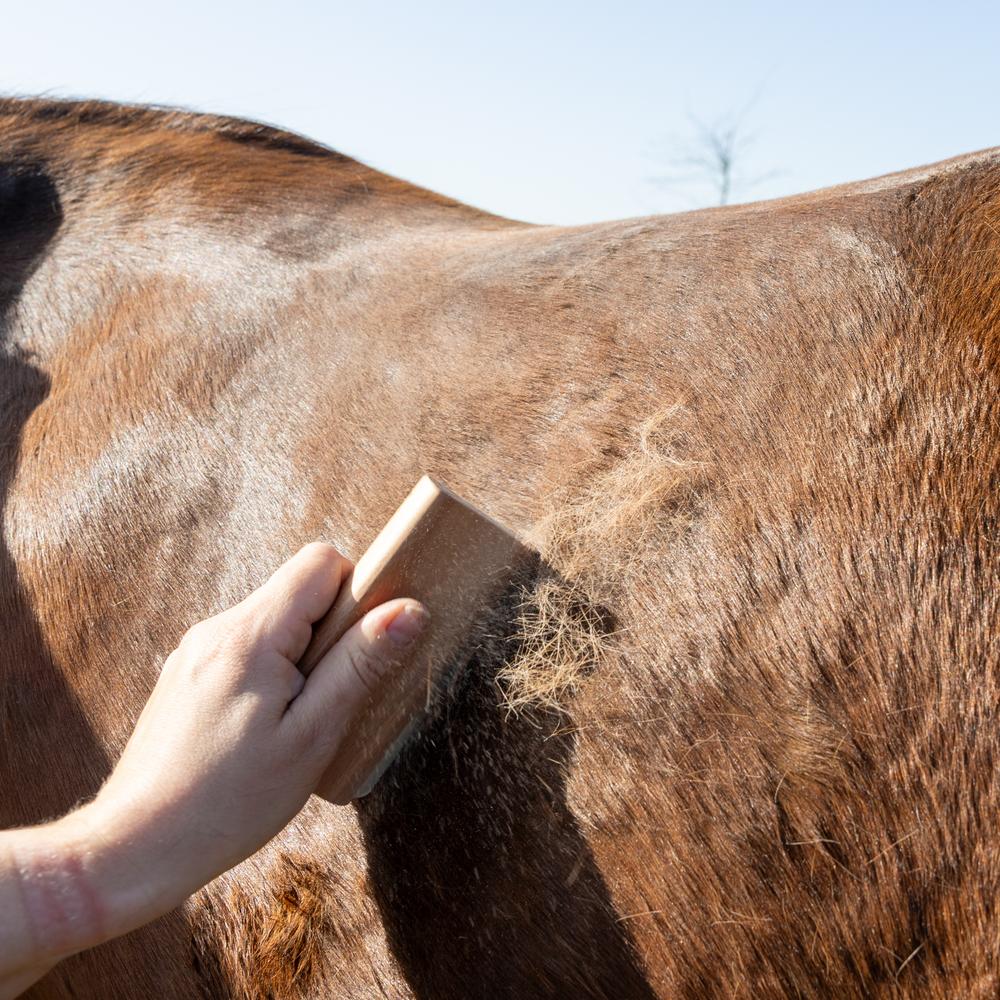 Grooming brush Easy Grooming