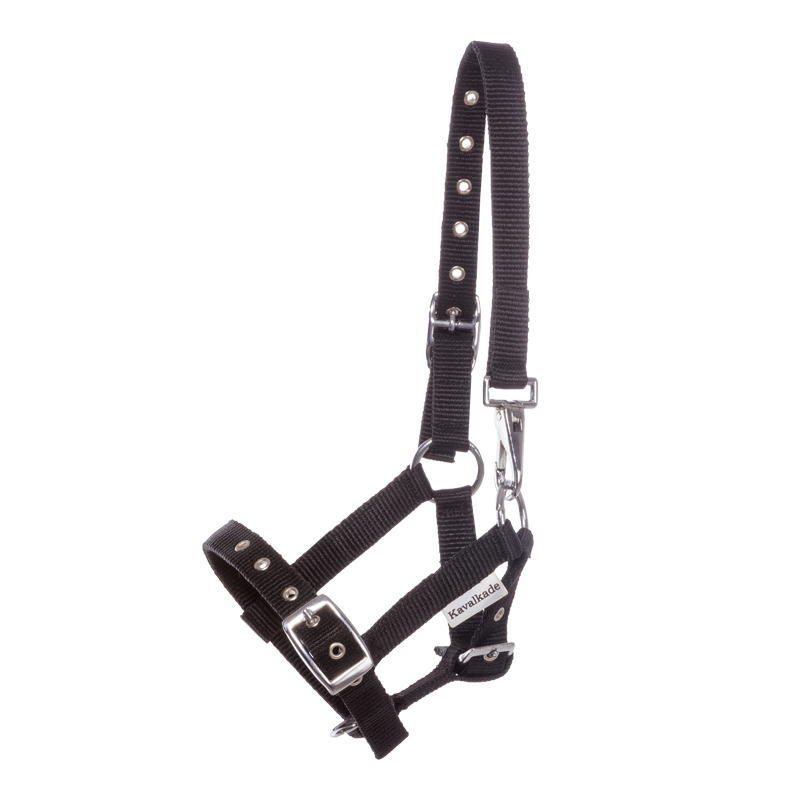 Fohlen- /Jährlingshalfter