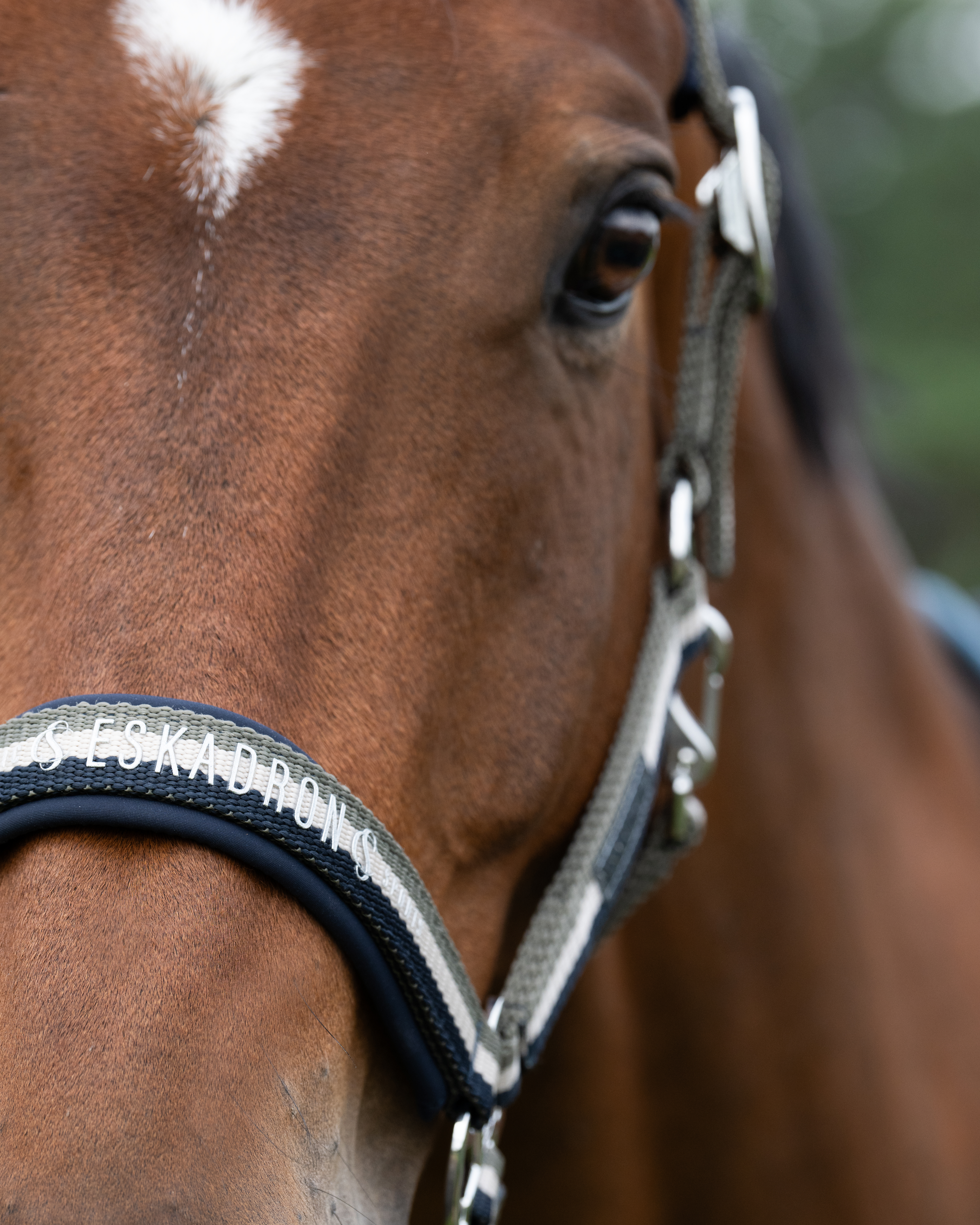 Halfter Classic Sports Double Pin