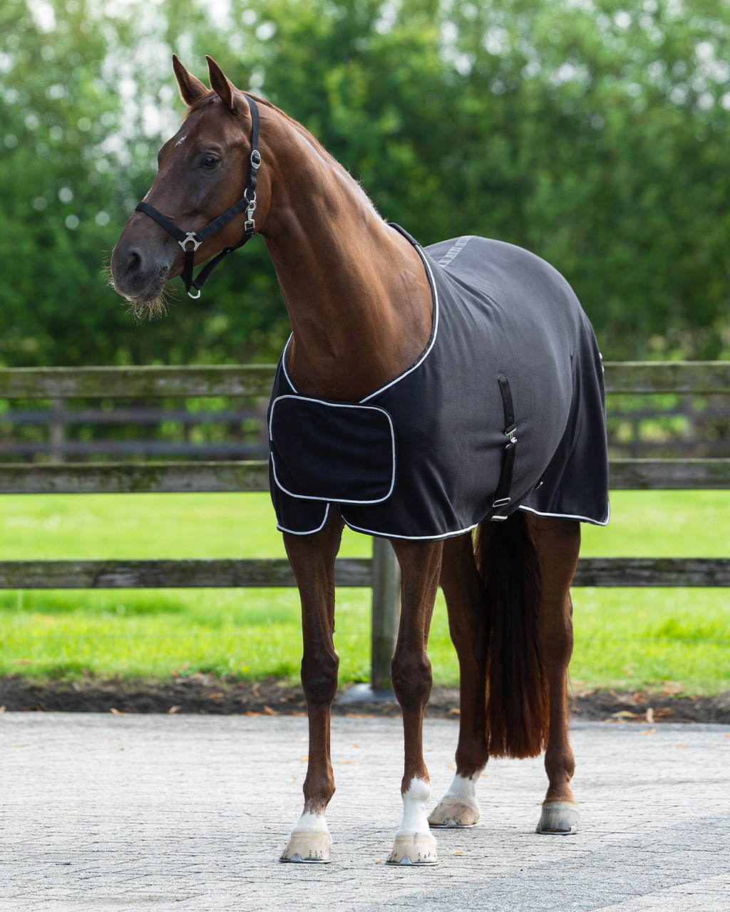 Abschwitzdecke mit Ornament