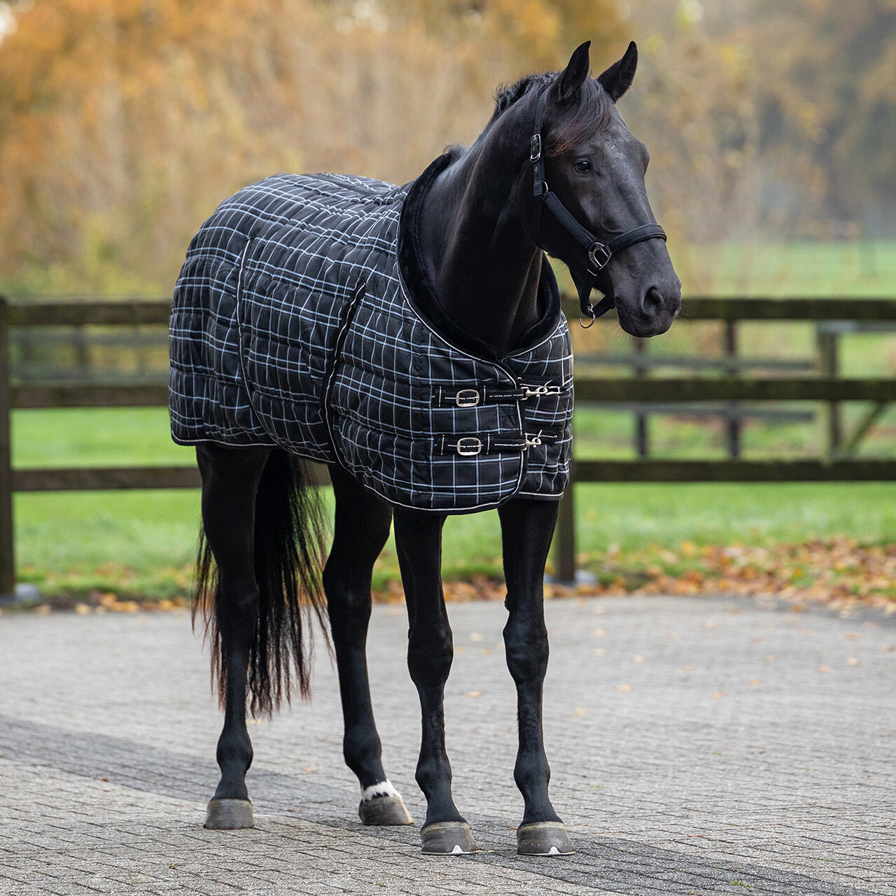 Stalldecke Luxus 250gr