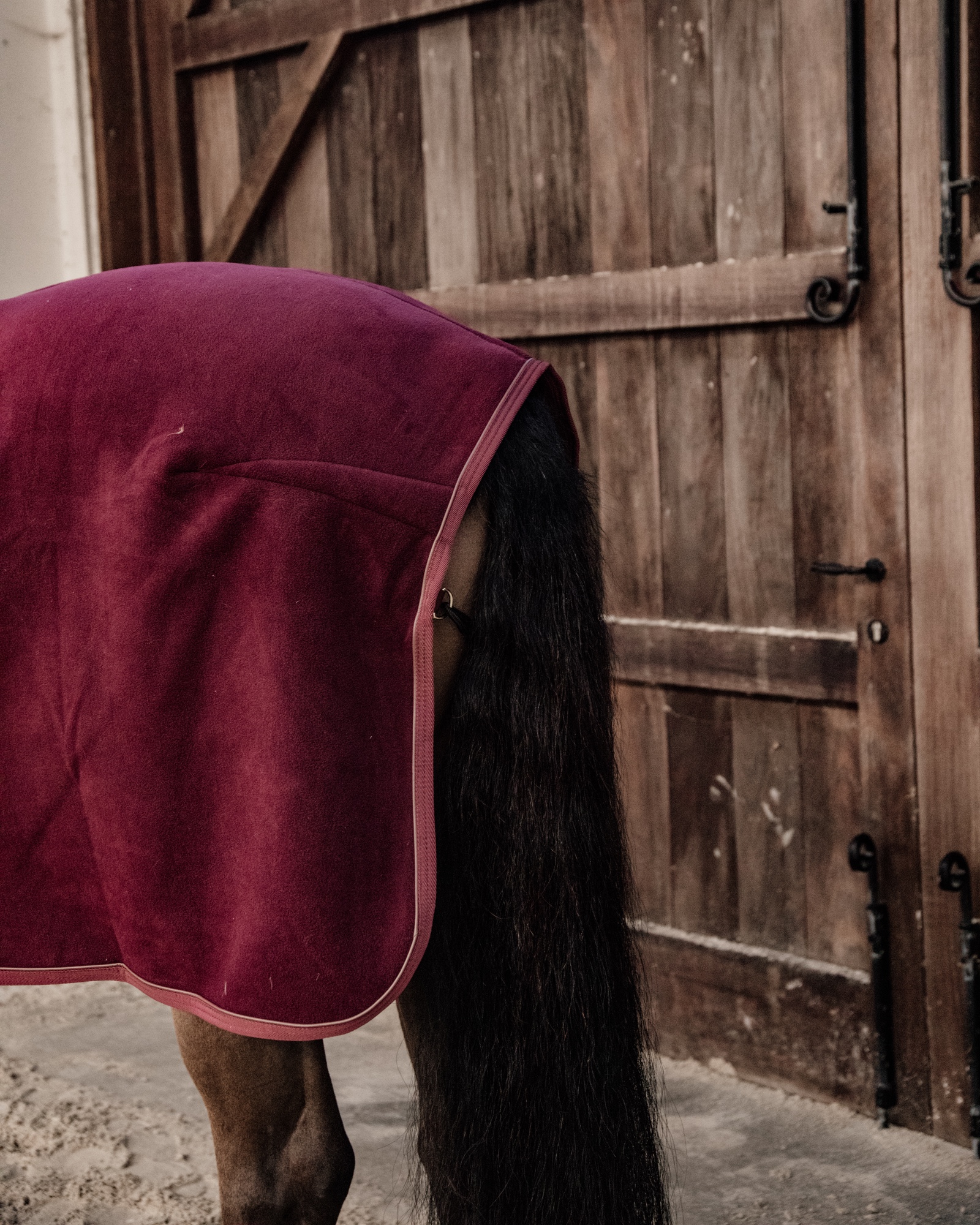 Fleece Show Heavy sweat rug