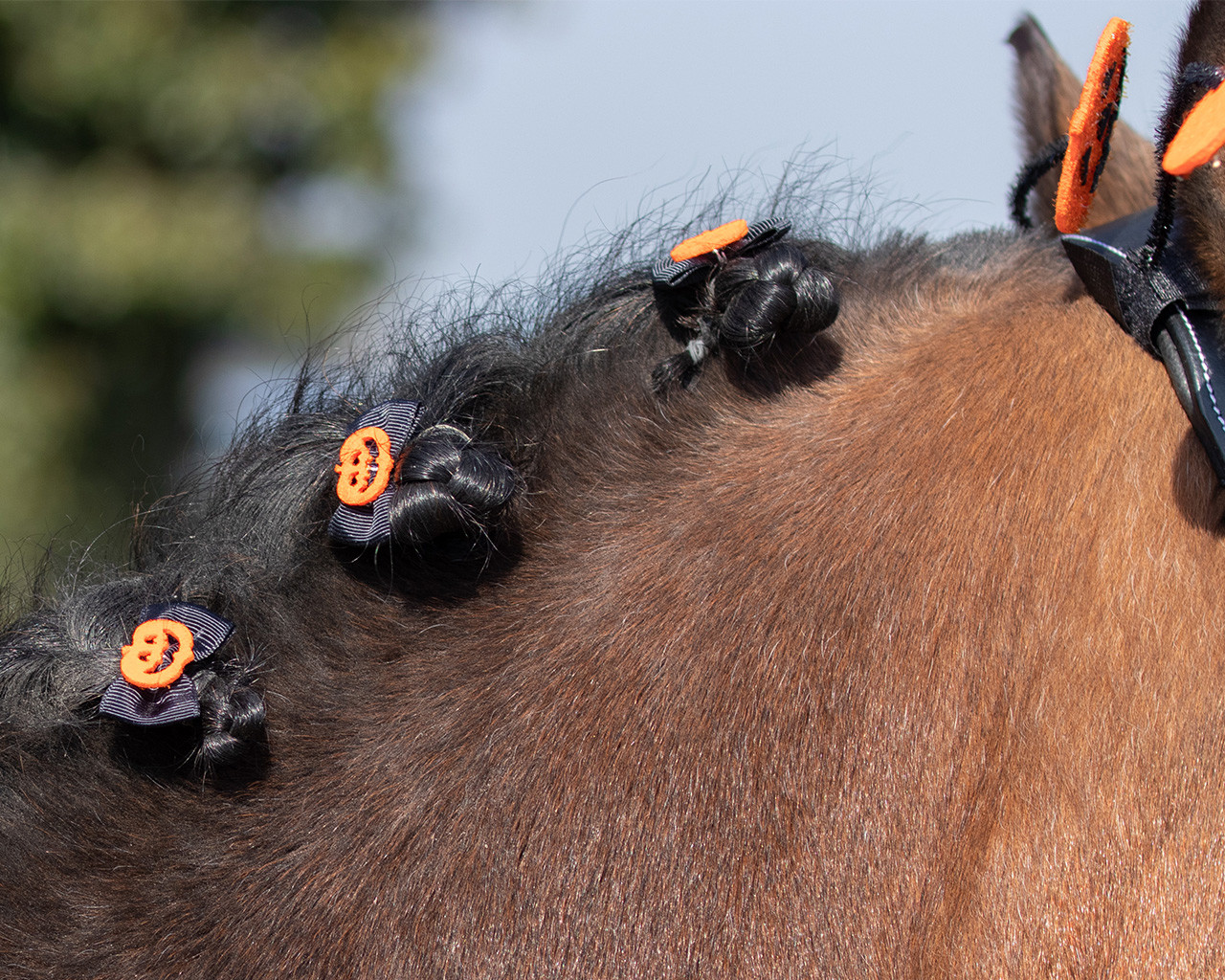 Mane bows Halloween