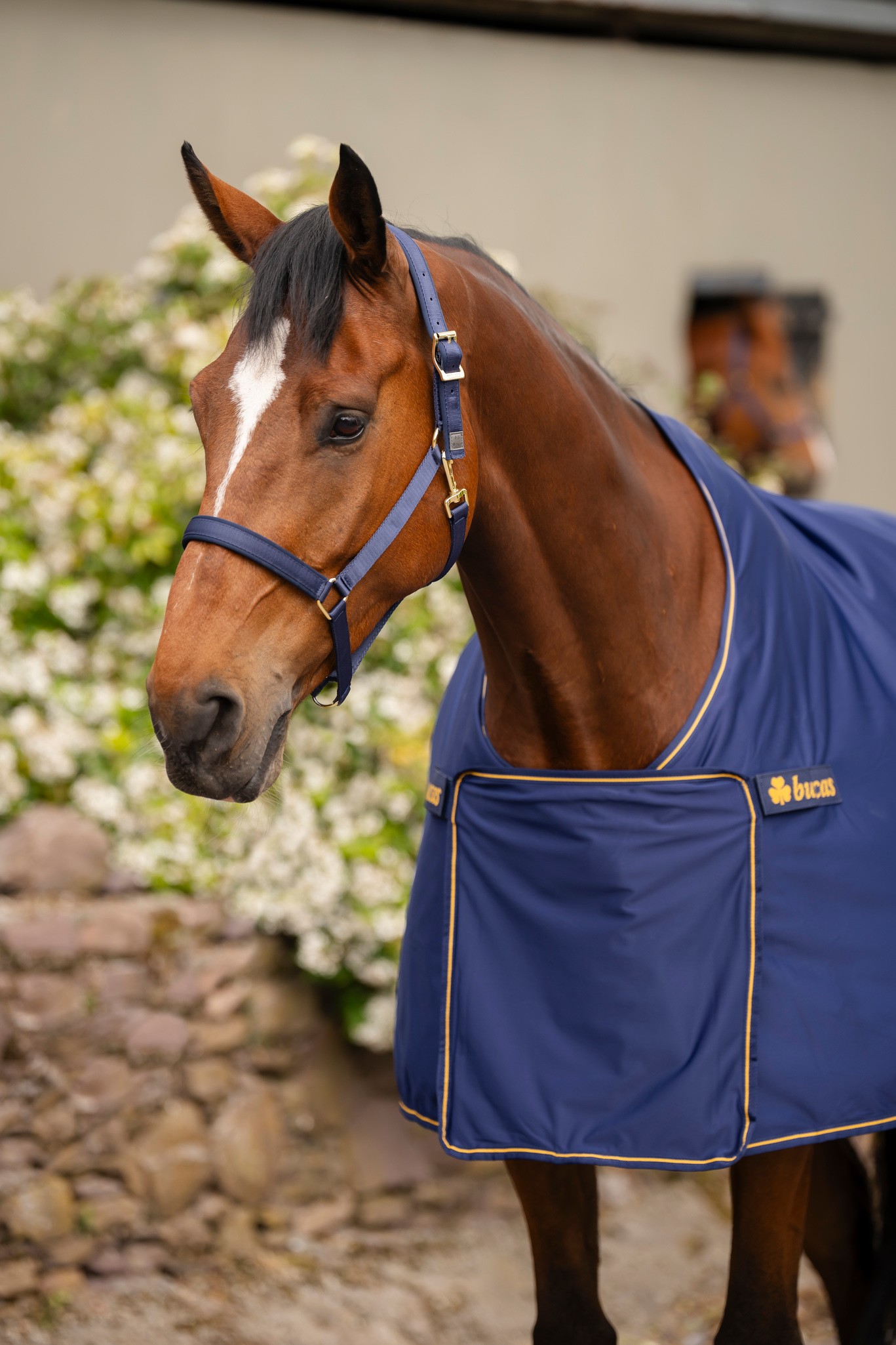 Abschwitzdecke Panel Prize Cooler in Navy/Gold