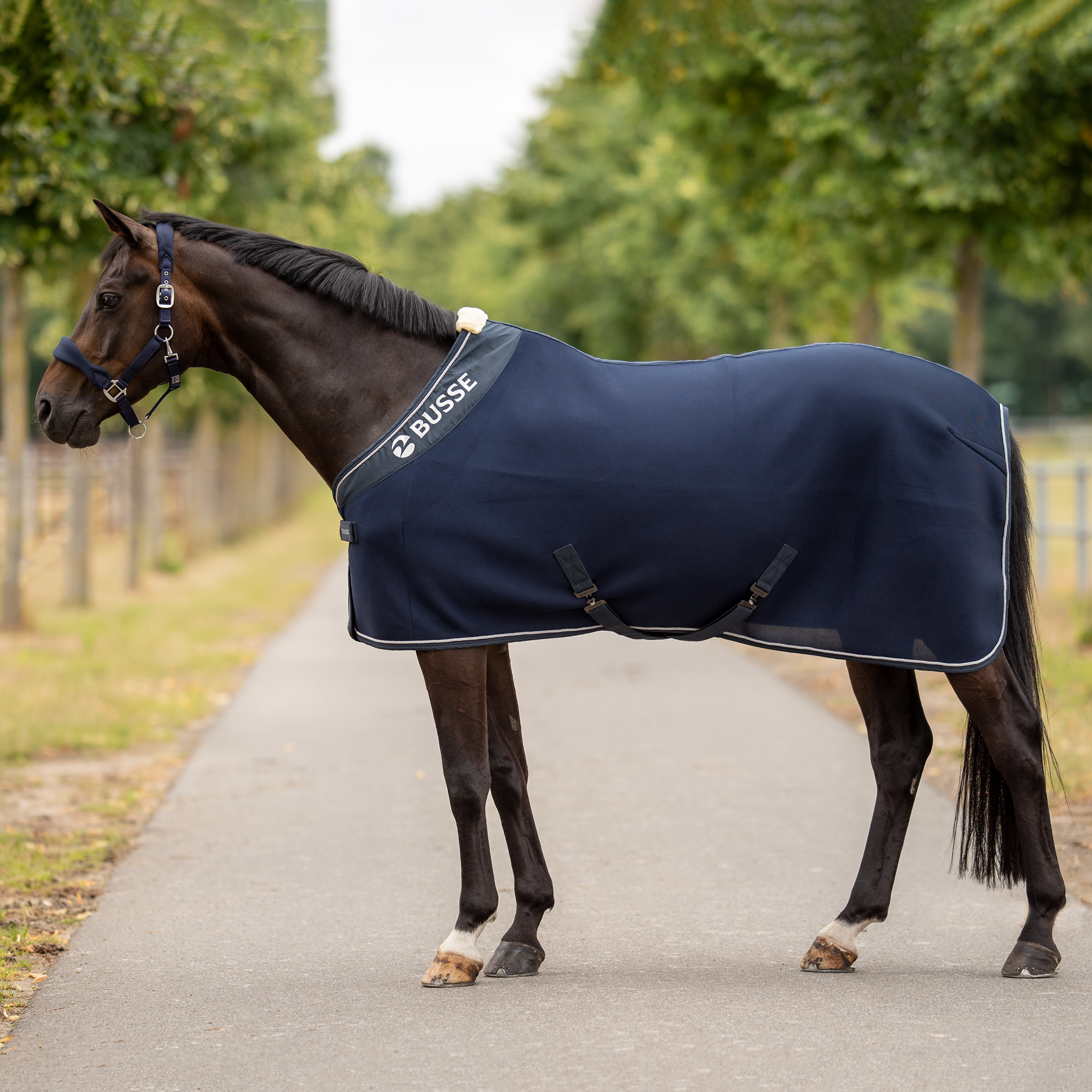 3D Air Premium sweat rug
