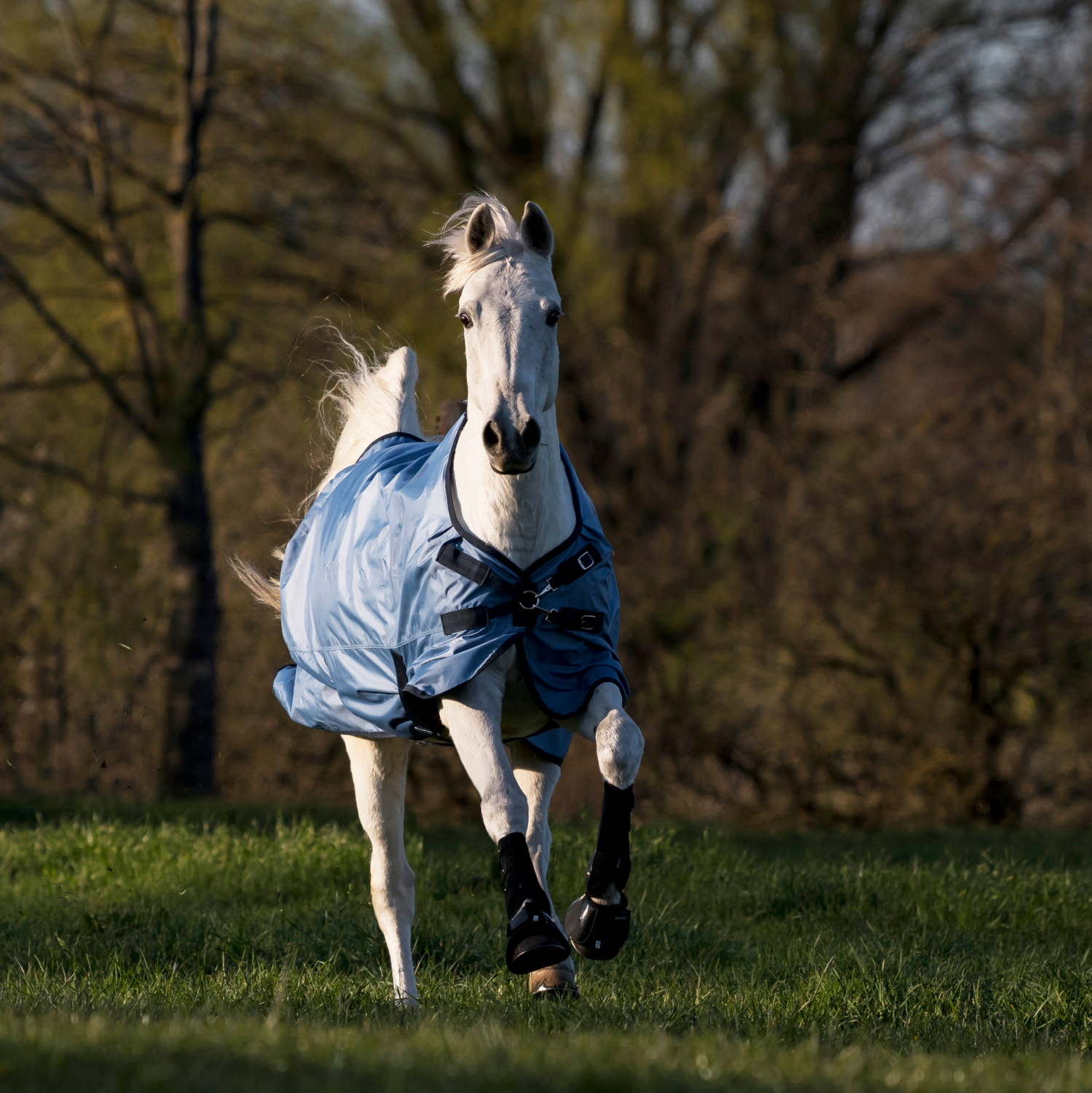 Outdoor blanket Windchill 00