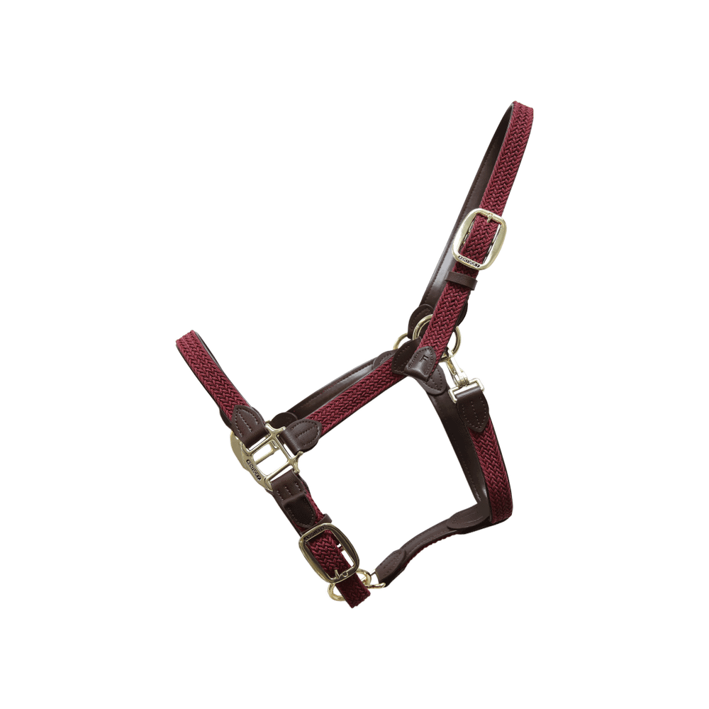 Licol Tressé Nylon