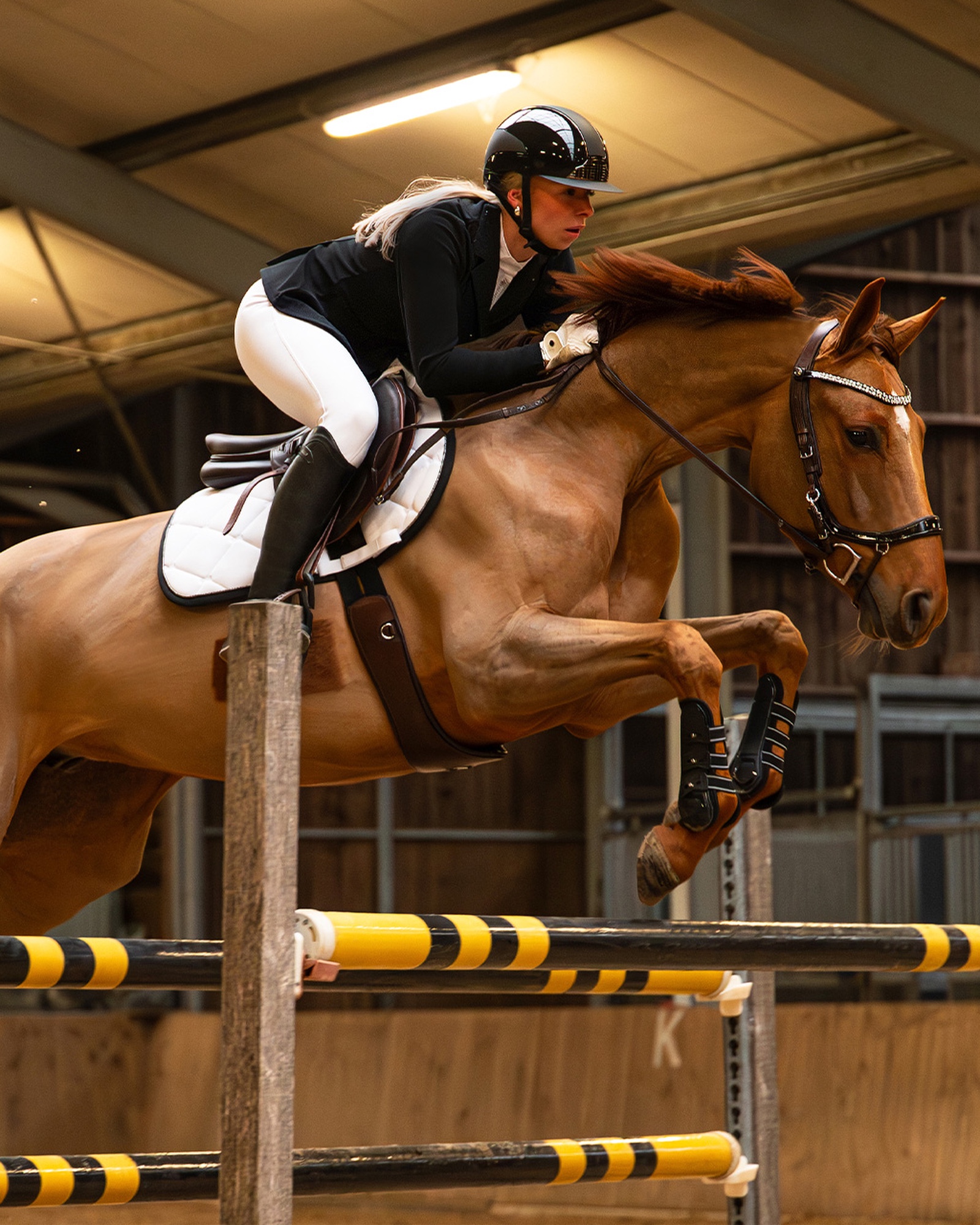 Ladies' riding breeches PerformNow with full grip Ladies' riding breeches PerformNow with full grip