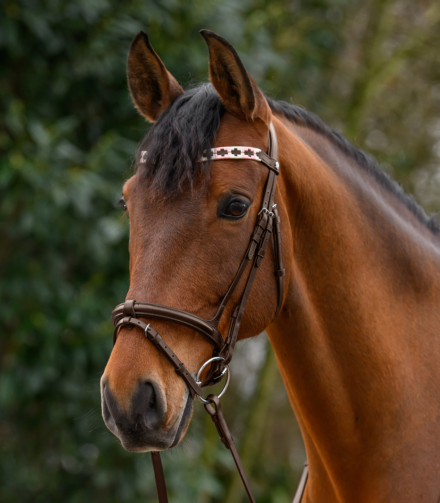 X-Line Browband Polo, brown