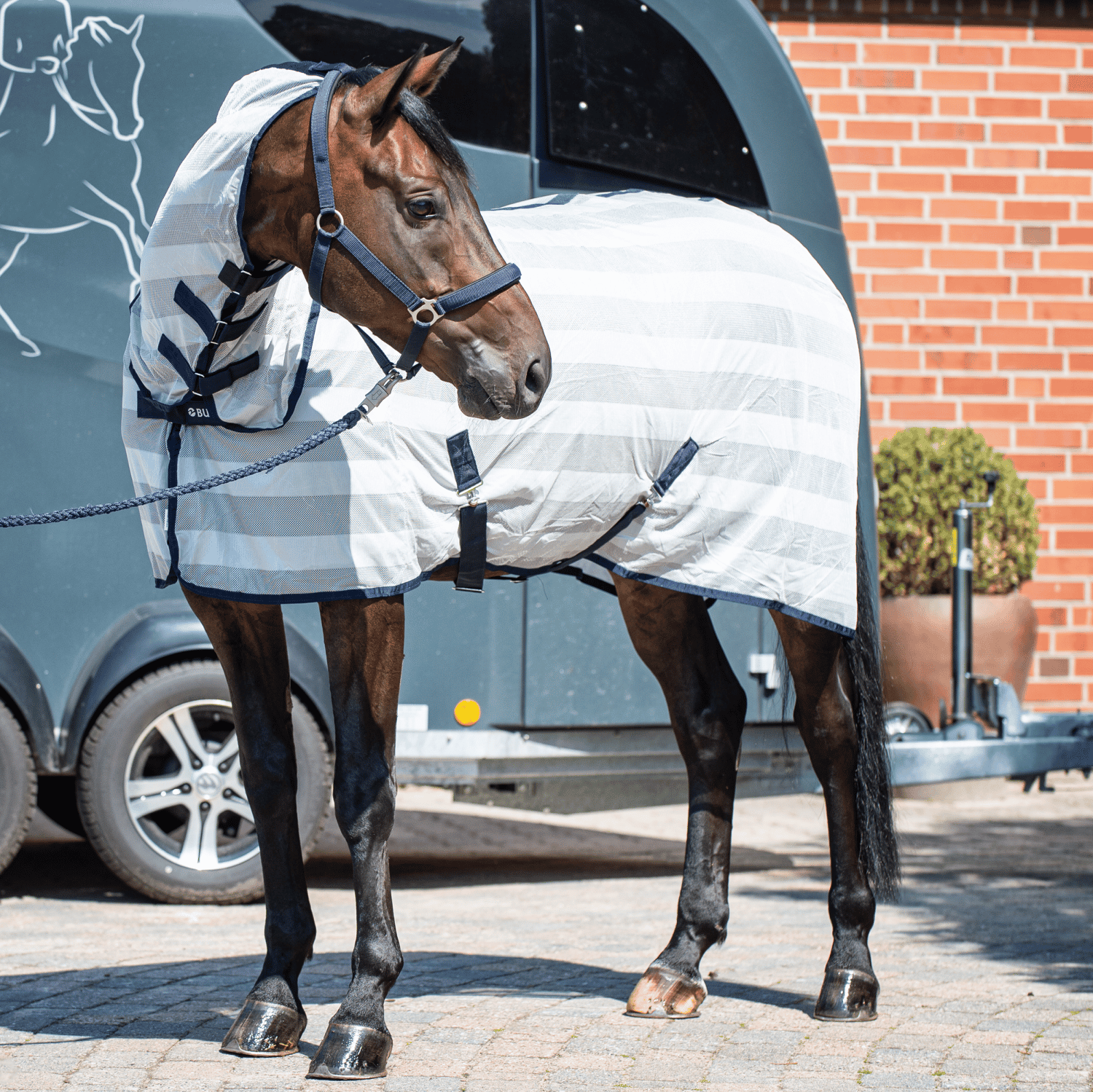 Transport-Fliegendecke Stripe Plus