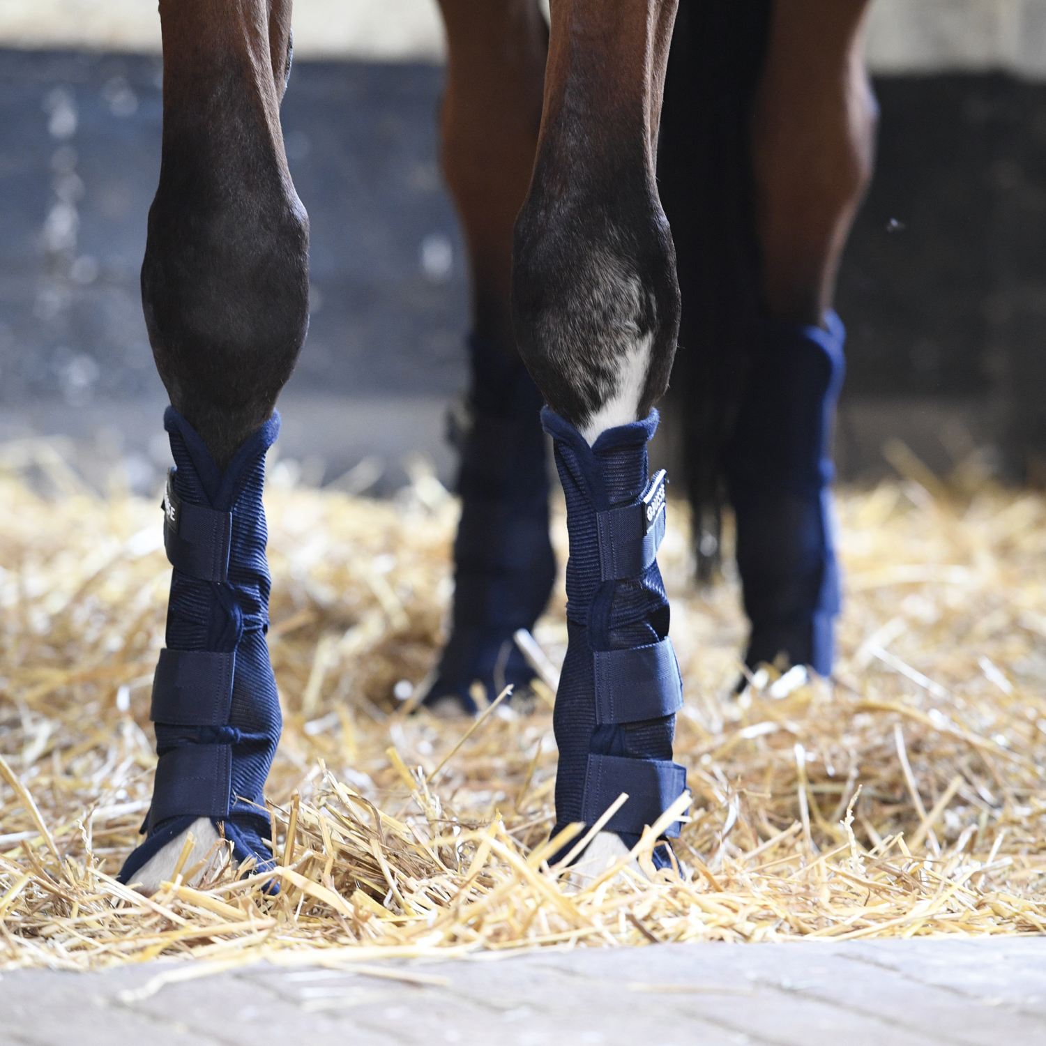 Fliegen-Gamaschen Comfort II