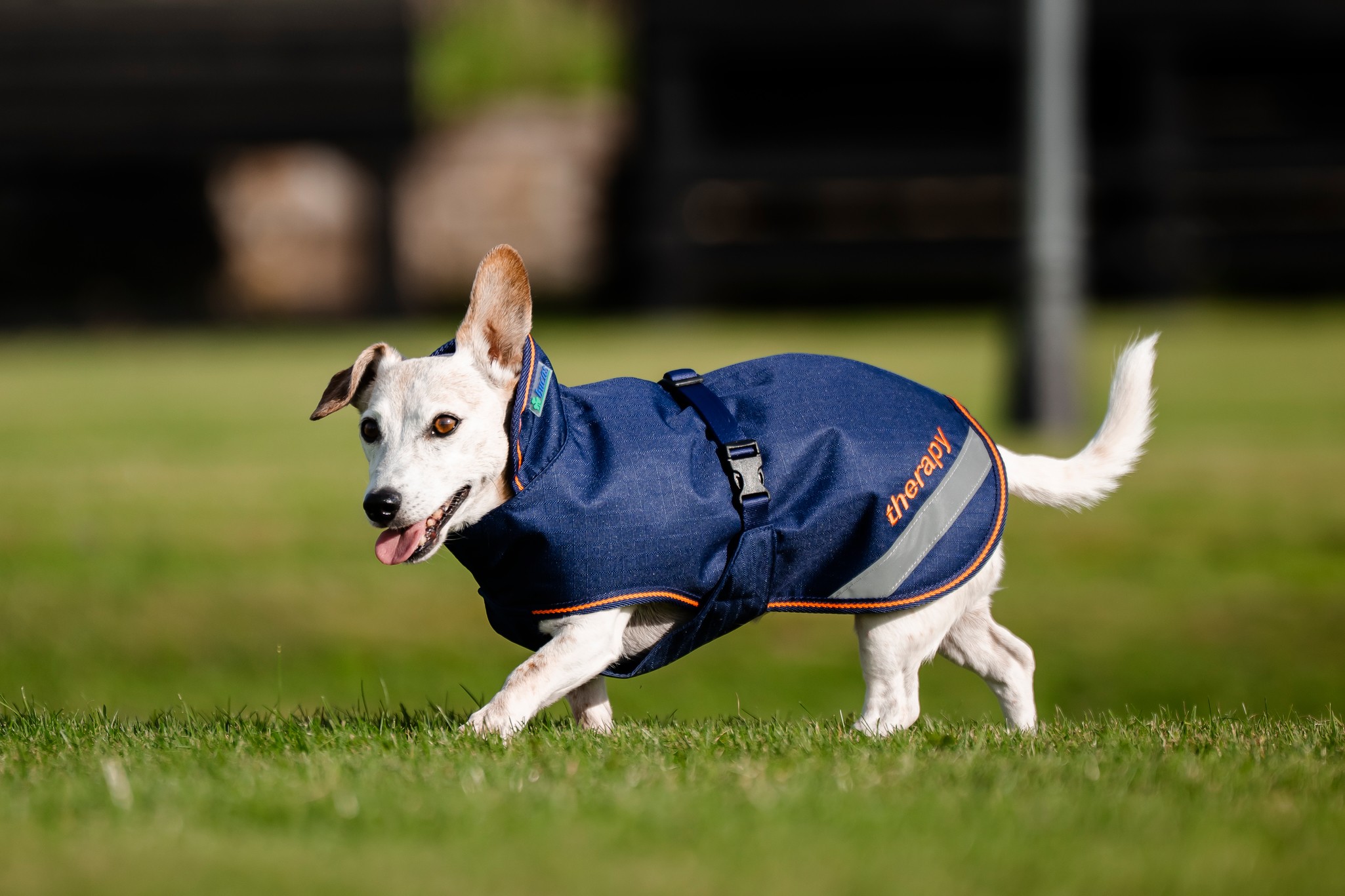 Hundedecke Therapy in Navy/Orange