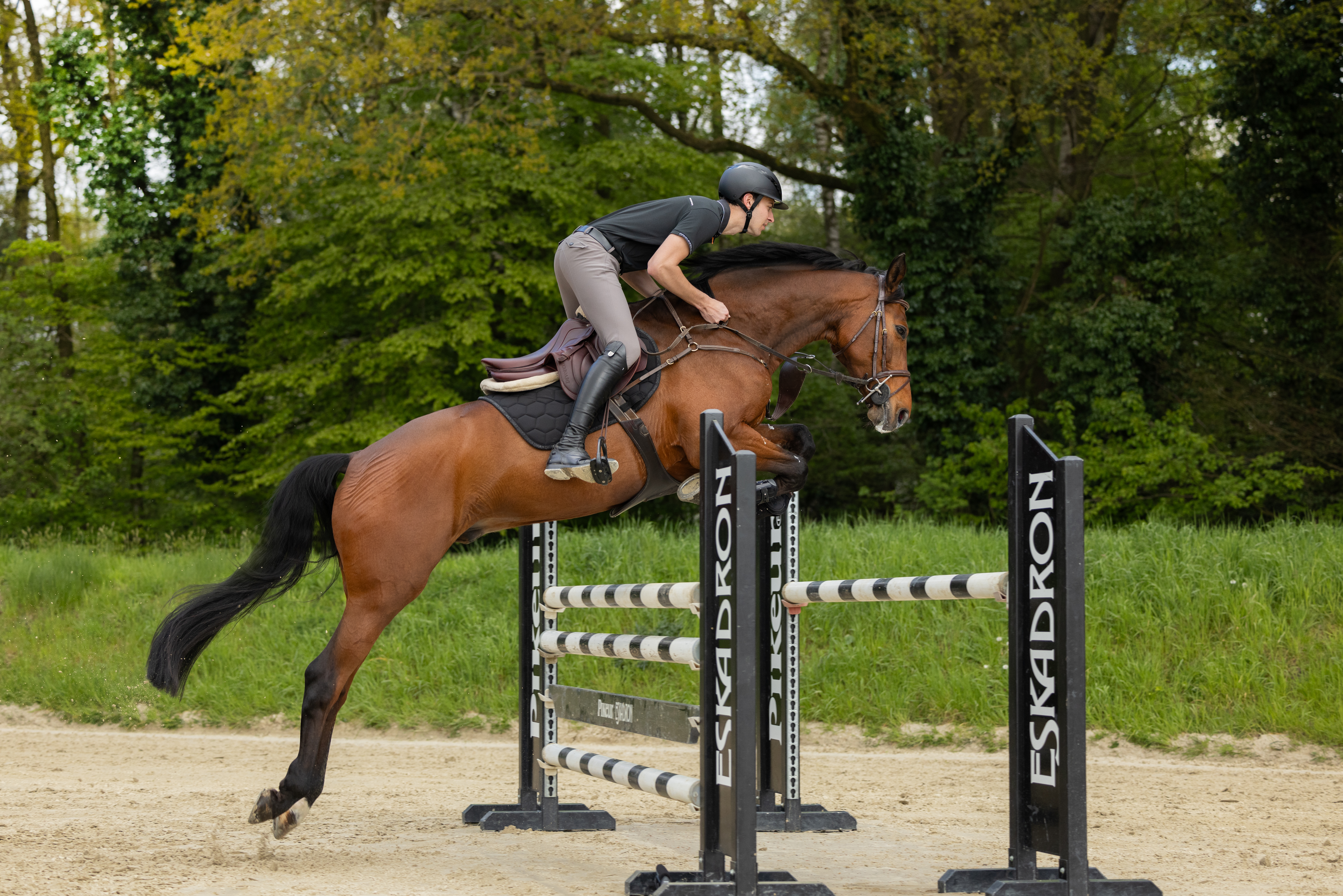 Men's riding breeches New Rodrigo knee grip