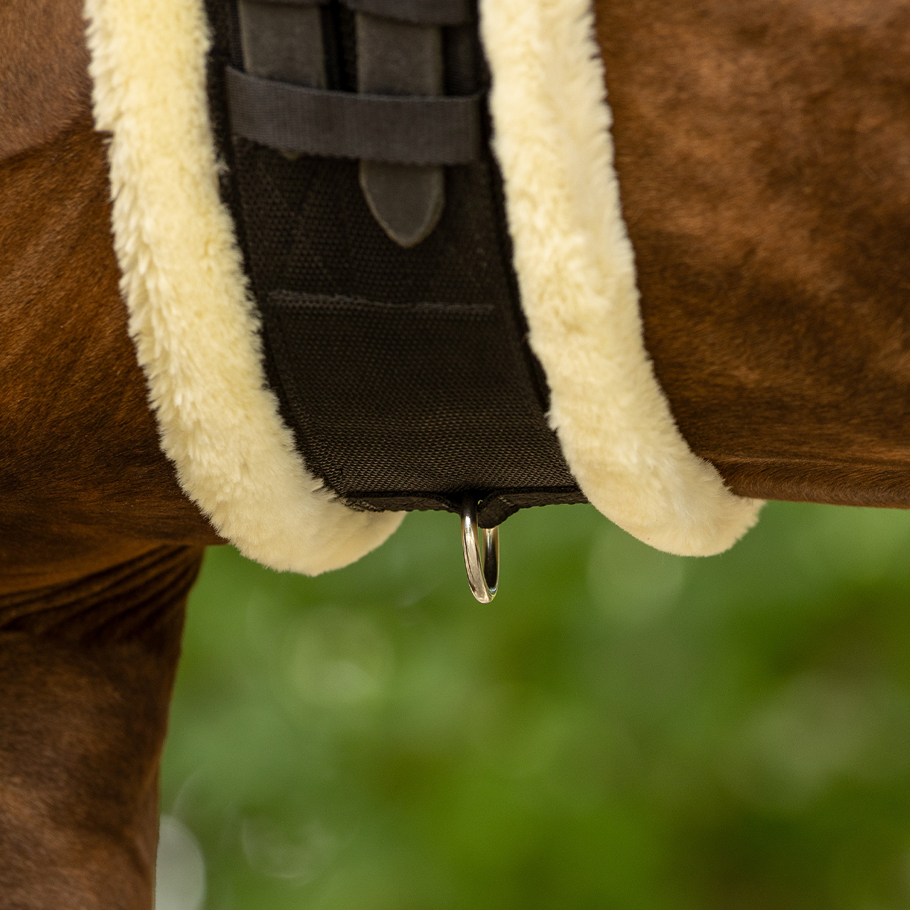 Ontario dressage girth