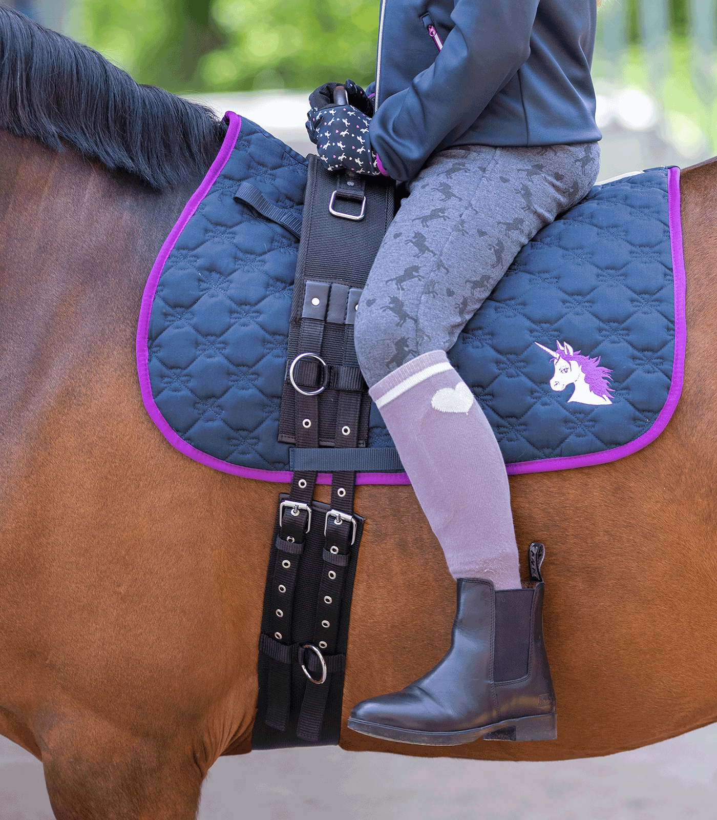 Lunging harness with handle