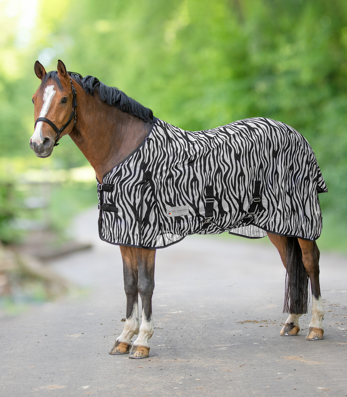 Zebra fly rug