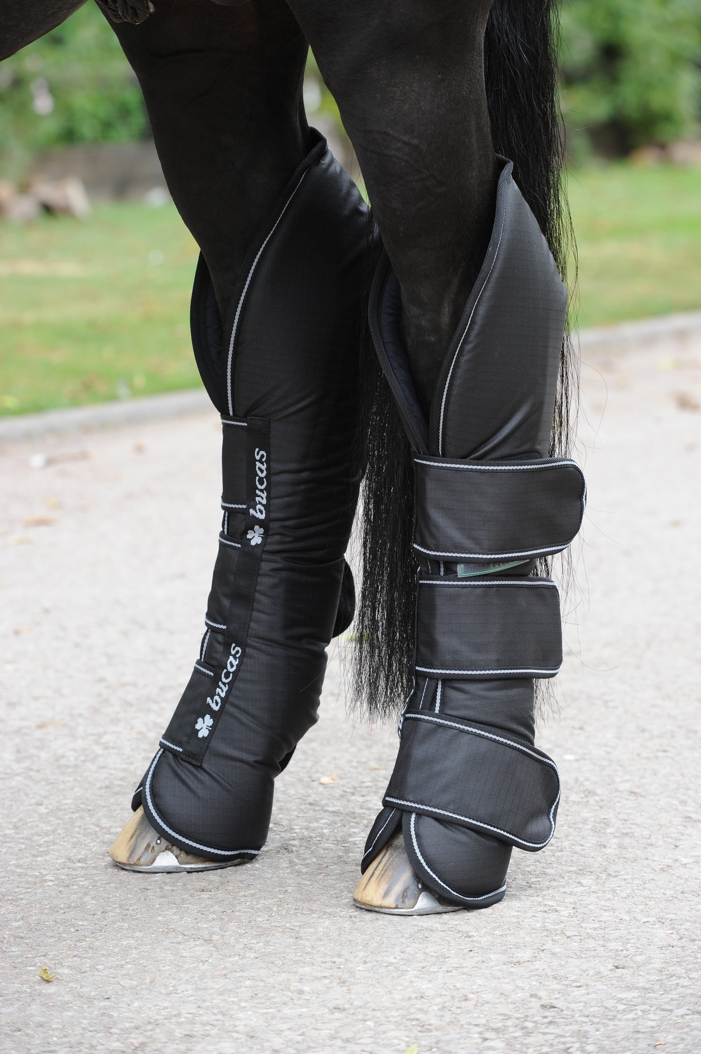 Transportgamaschen Freedom Boots in Black